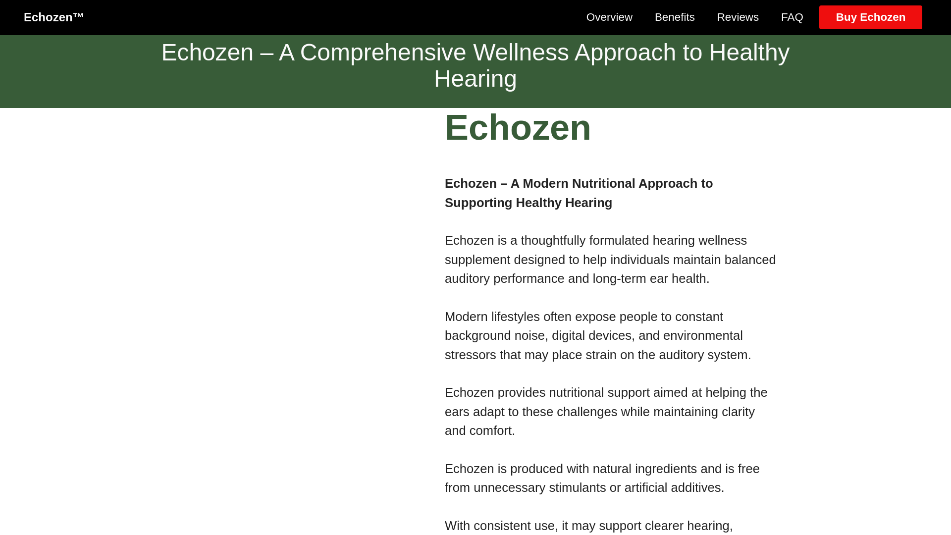 website screenshot of https://eng-us-en-echozen.com/