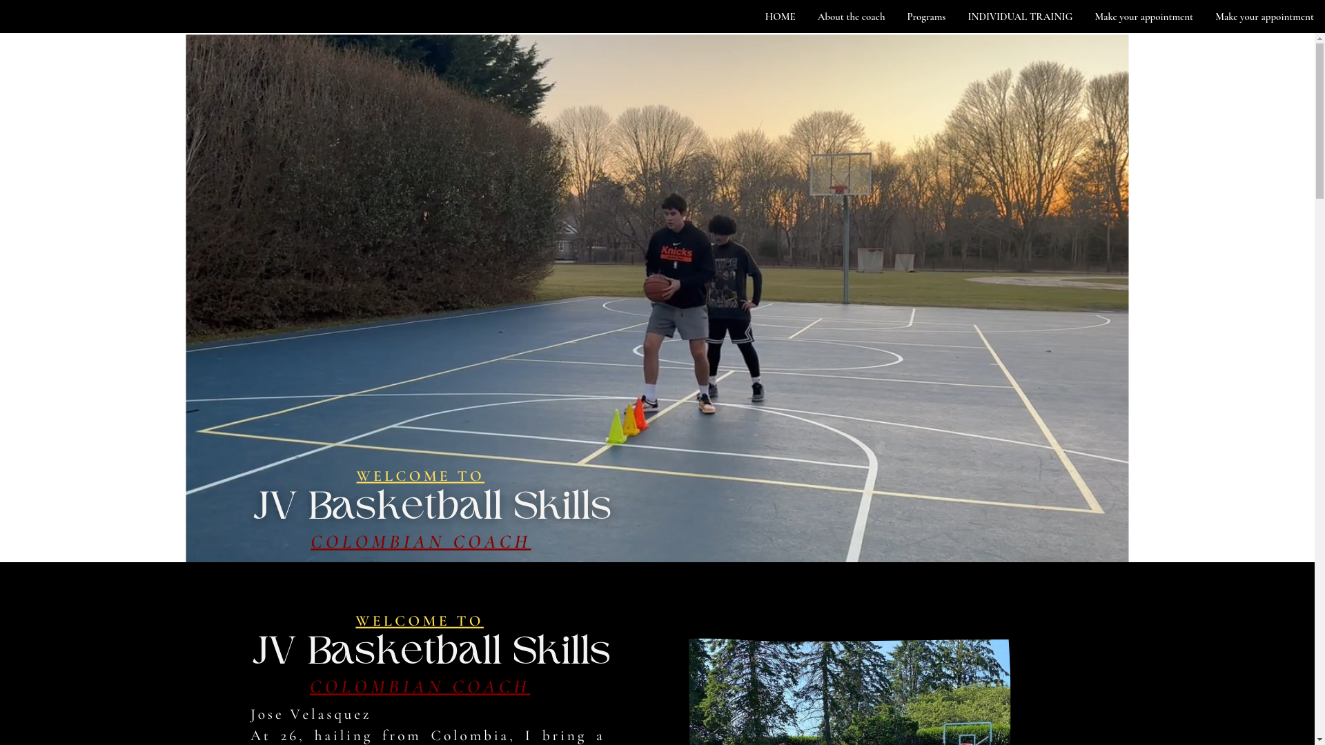 website screenshot of https://hamptonsballer.com/