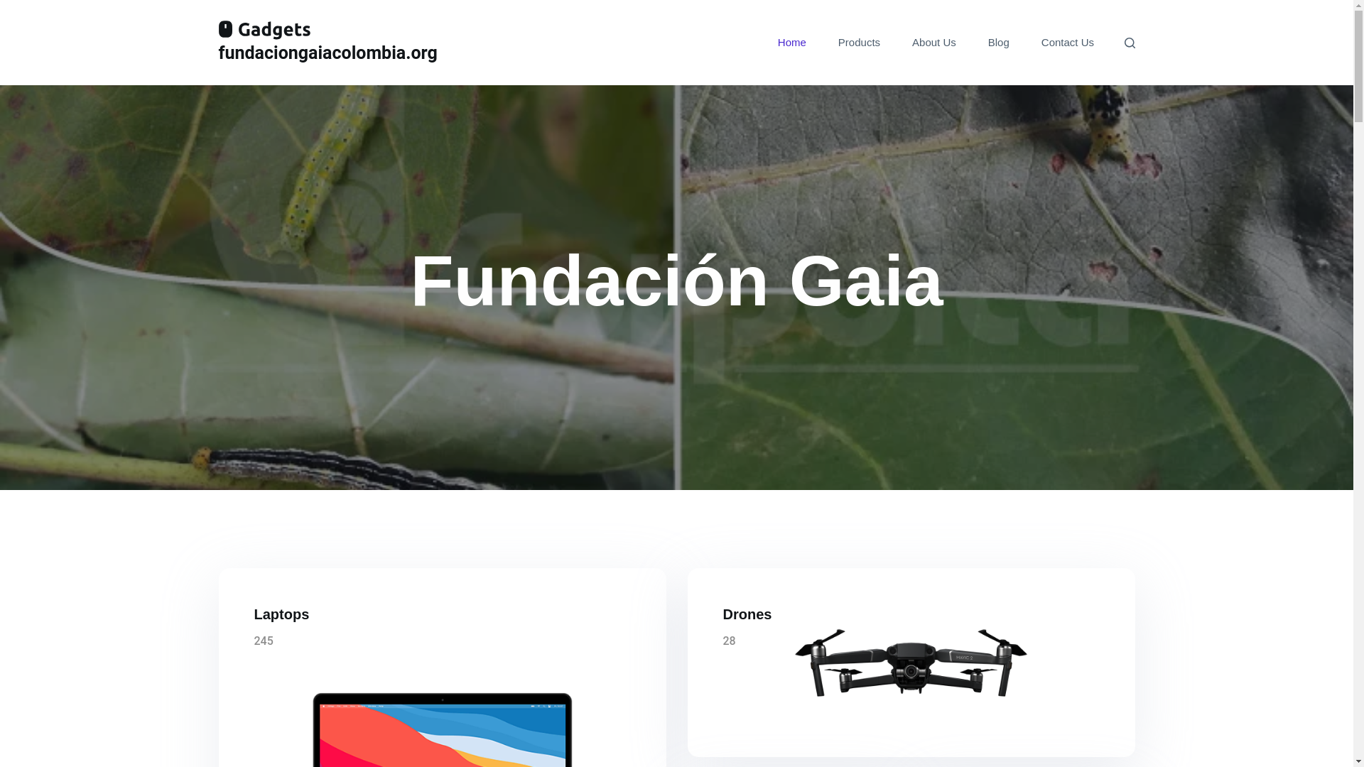 website screenshot of https://fundaciongaiacolombia.org/