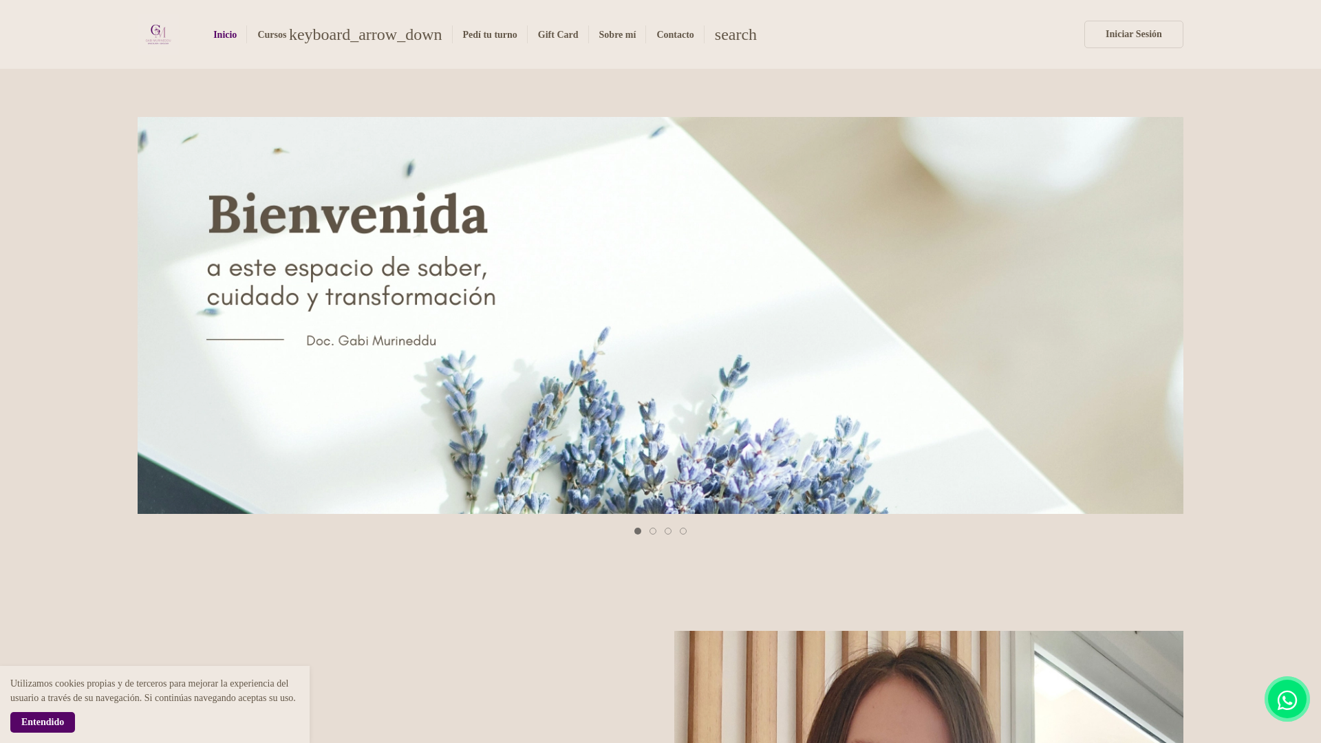 website screenshot of https://gabimurineddu.com/