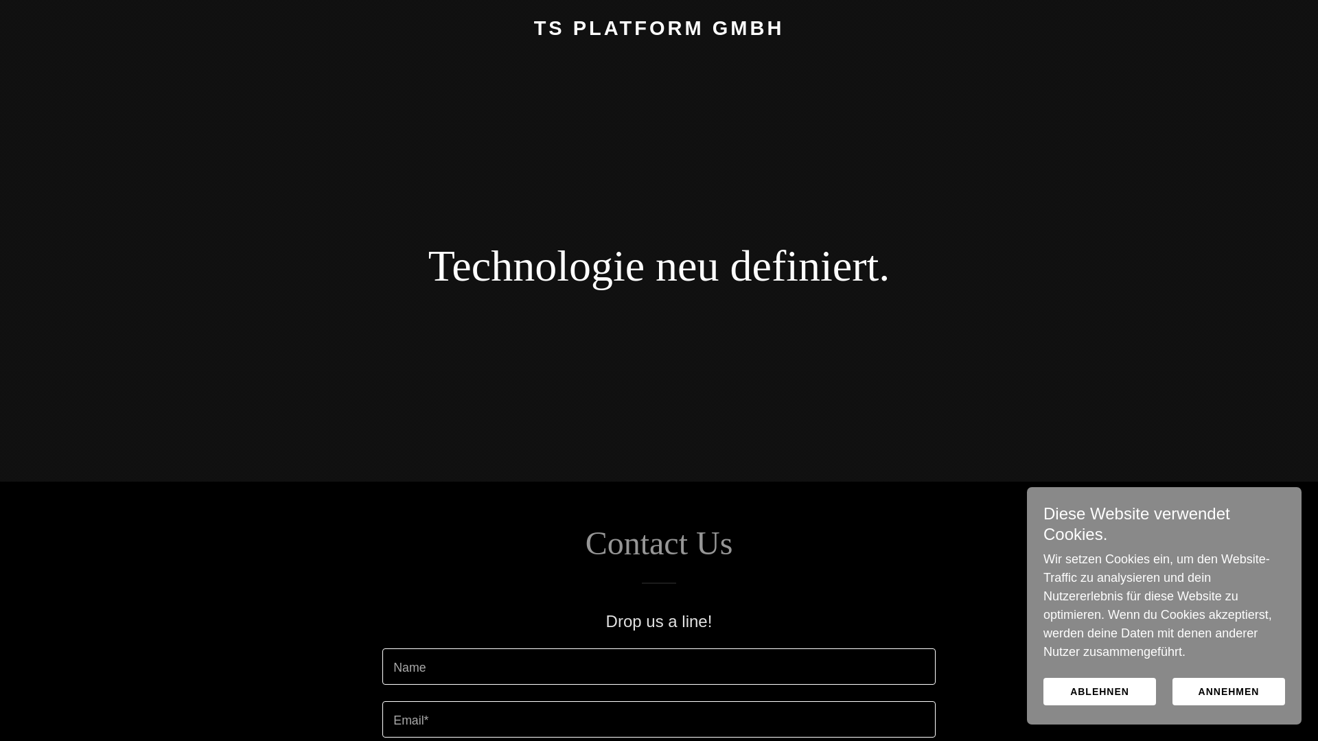 website screenshot of https://ts-platform.de