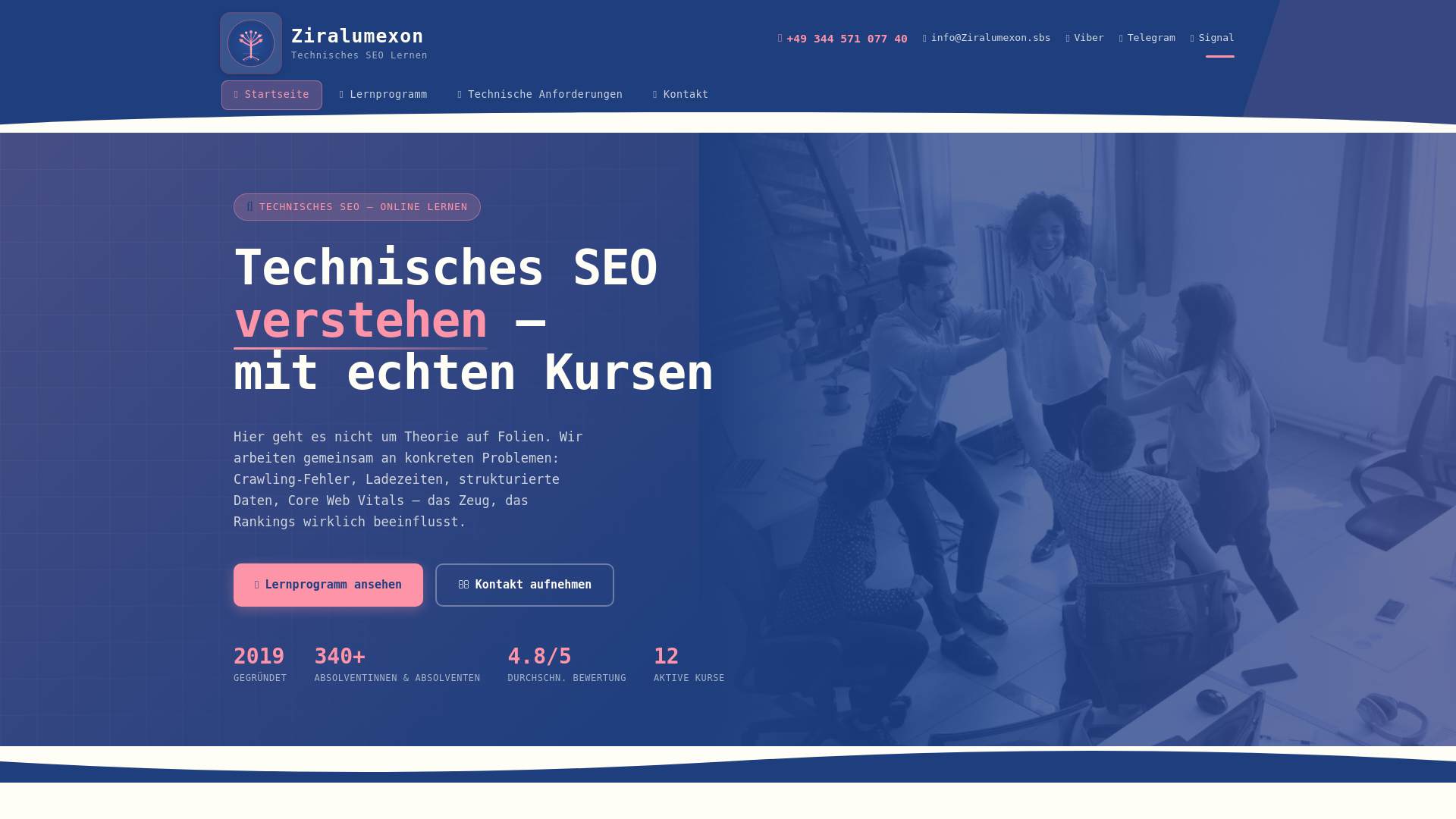 website screenshot of https://ziralumexon.com/