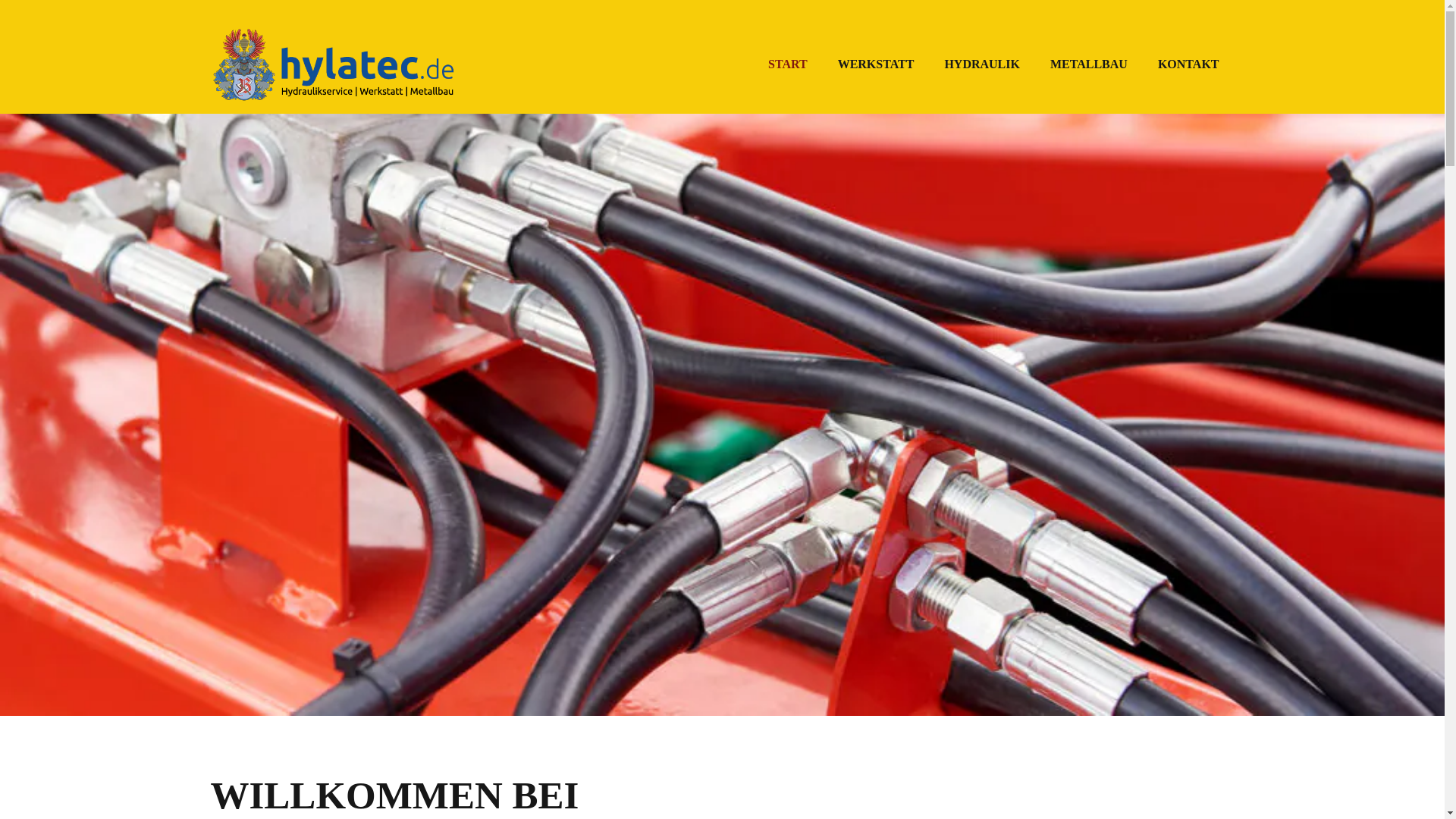 website screenshot of https://hylatec.de/