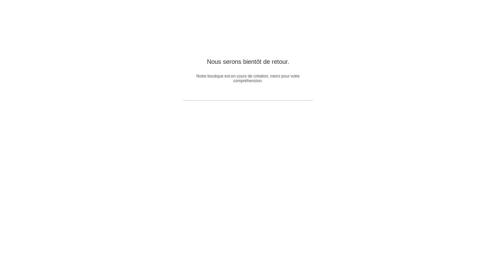 website screenshot of https://merlinetcompagnie.com/