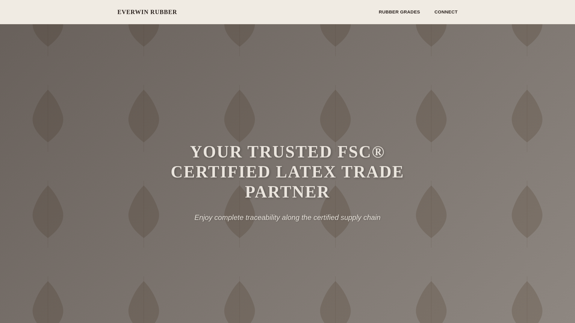 website screenshot of https://everwinrubber.pages.dev/