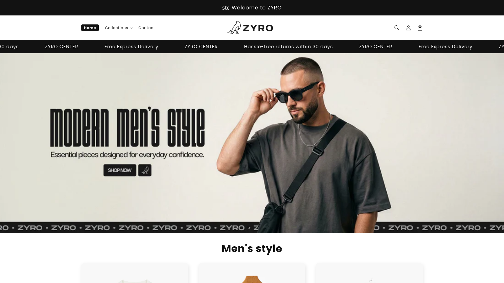 website screenshot of https://zyrocenter.com