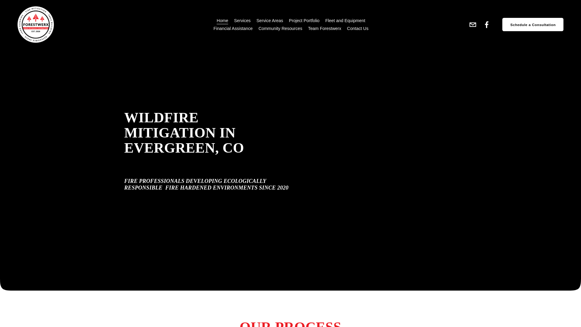 website screenshot of https://forestwerx.com