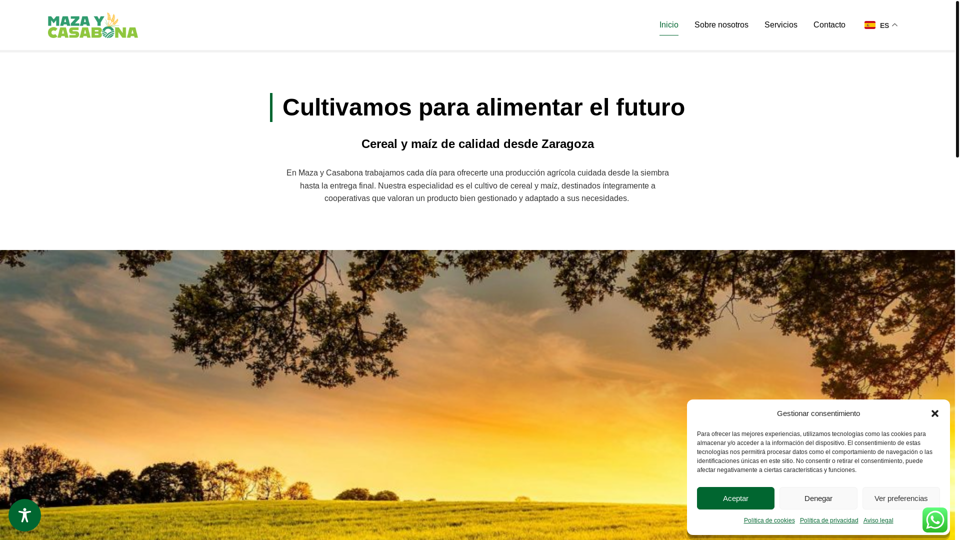 website screenshot of https://mazaycasabona.com/
