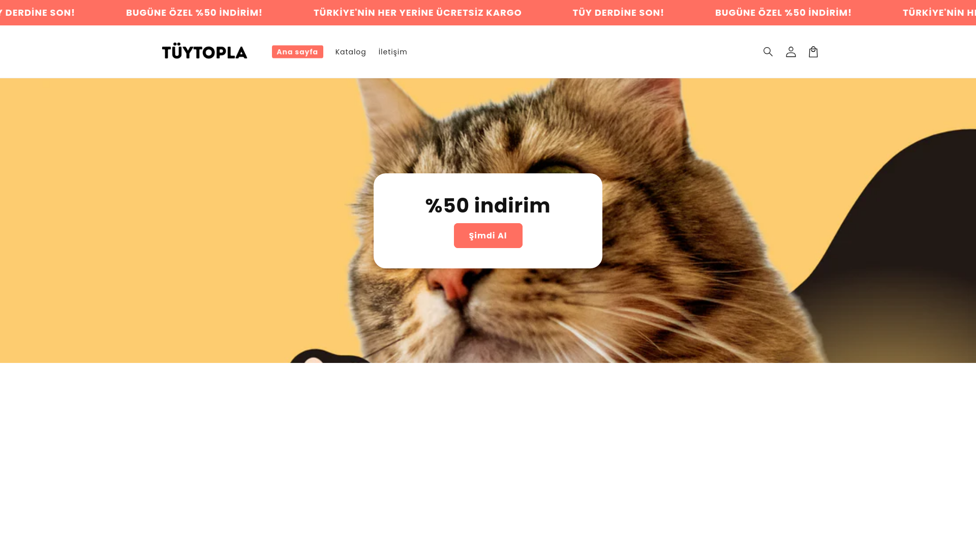 website screenshot of https://tuytopla.com