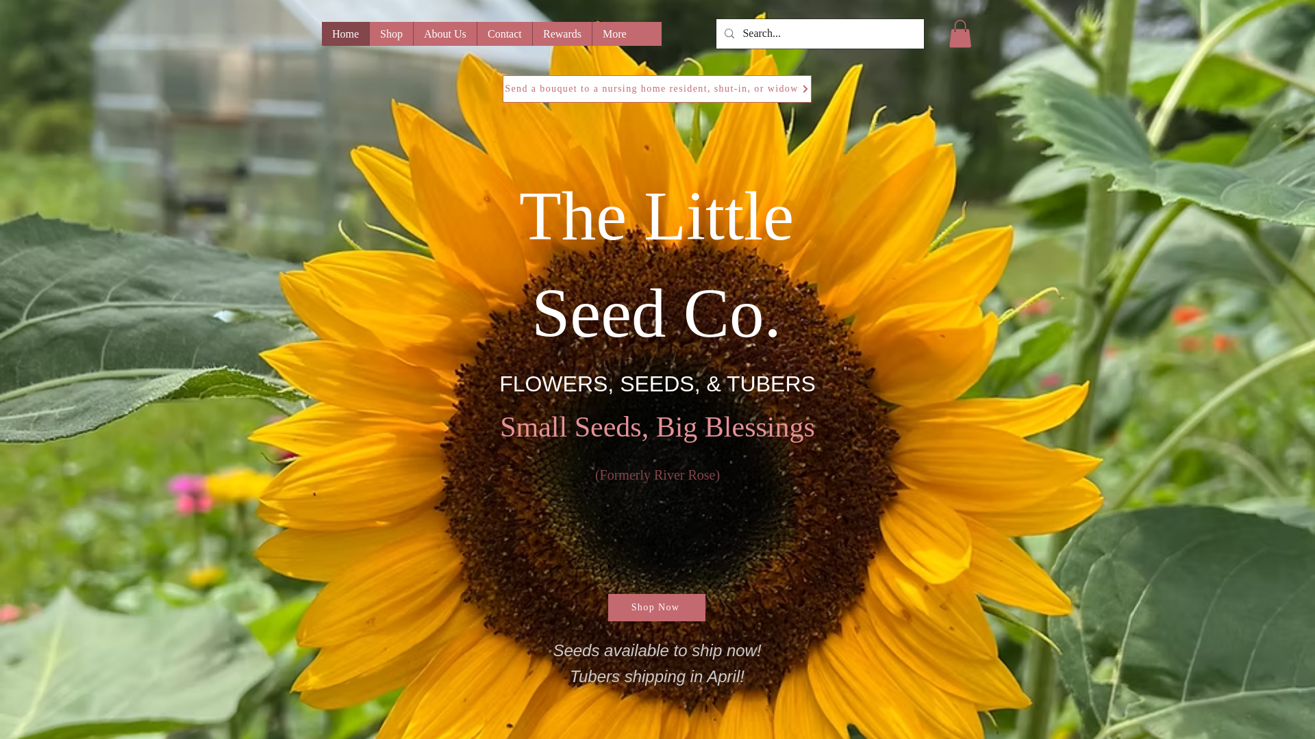 website screenshot of https://littleseedcompany.com/