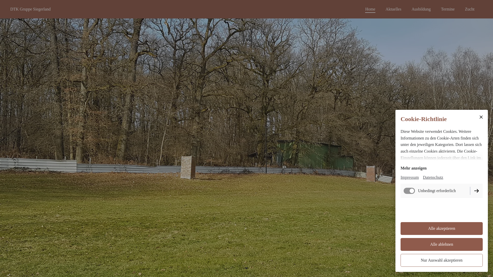 website screenshot of https://teckelklub-siegerland.de