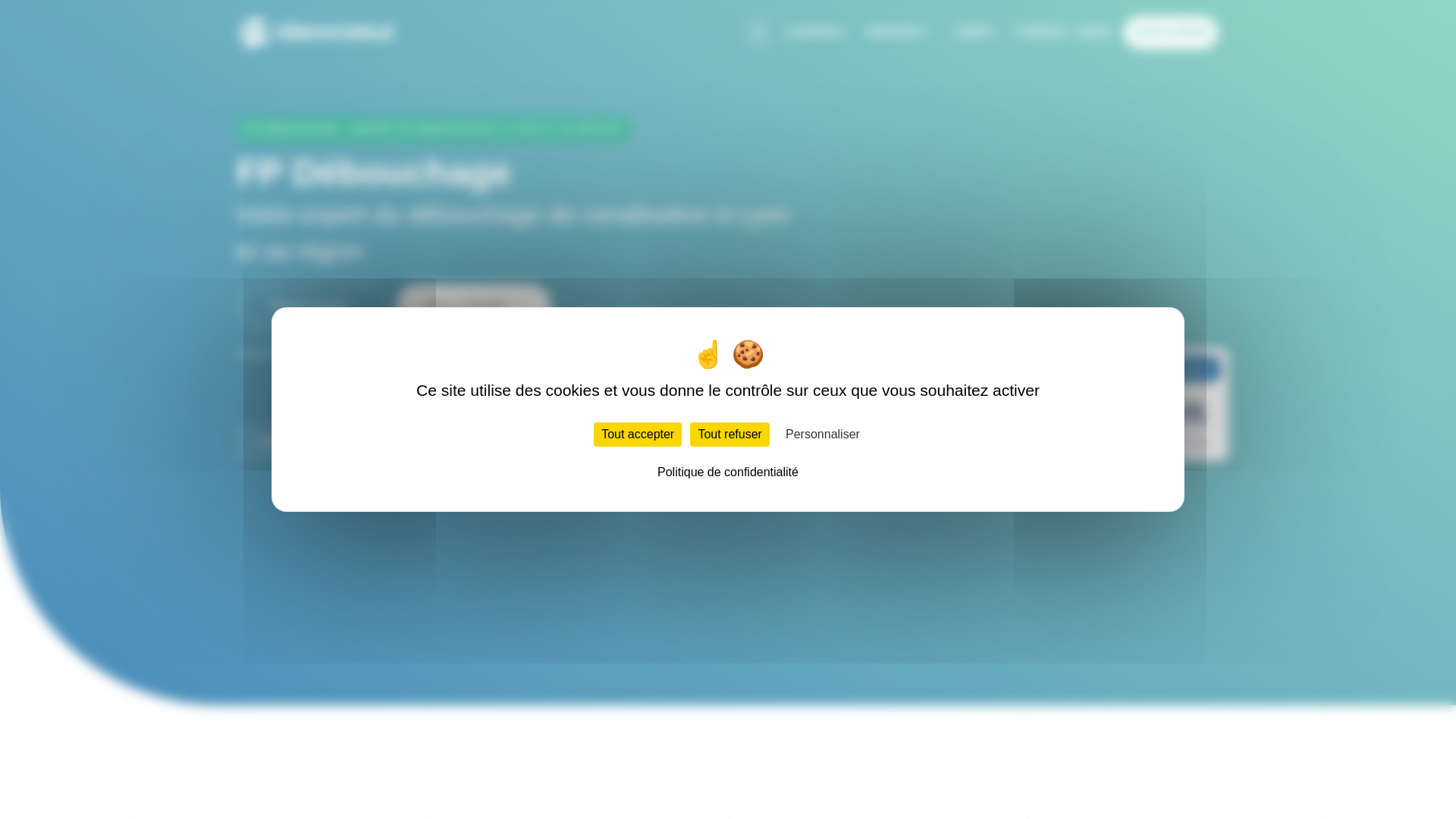 website screenshot of https://fpdebouchage-lyon.fr