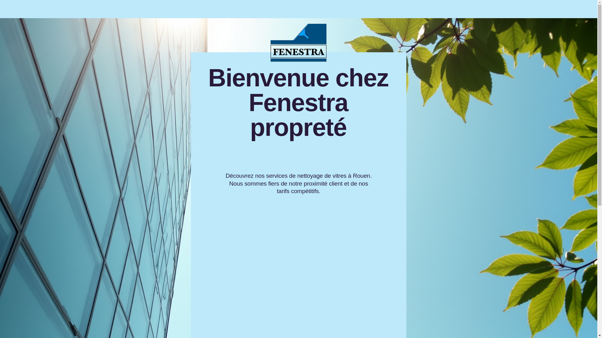 website screenshot of https://fenestraproprete.com/