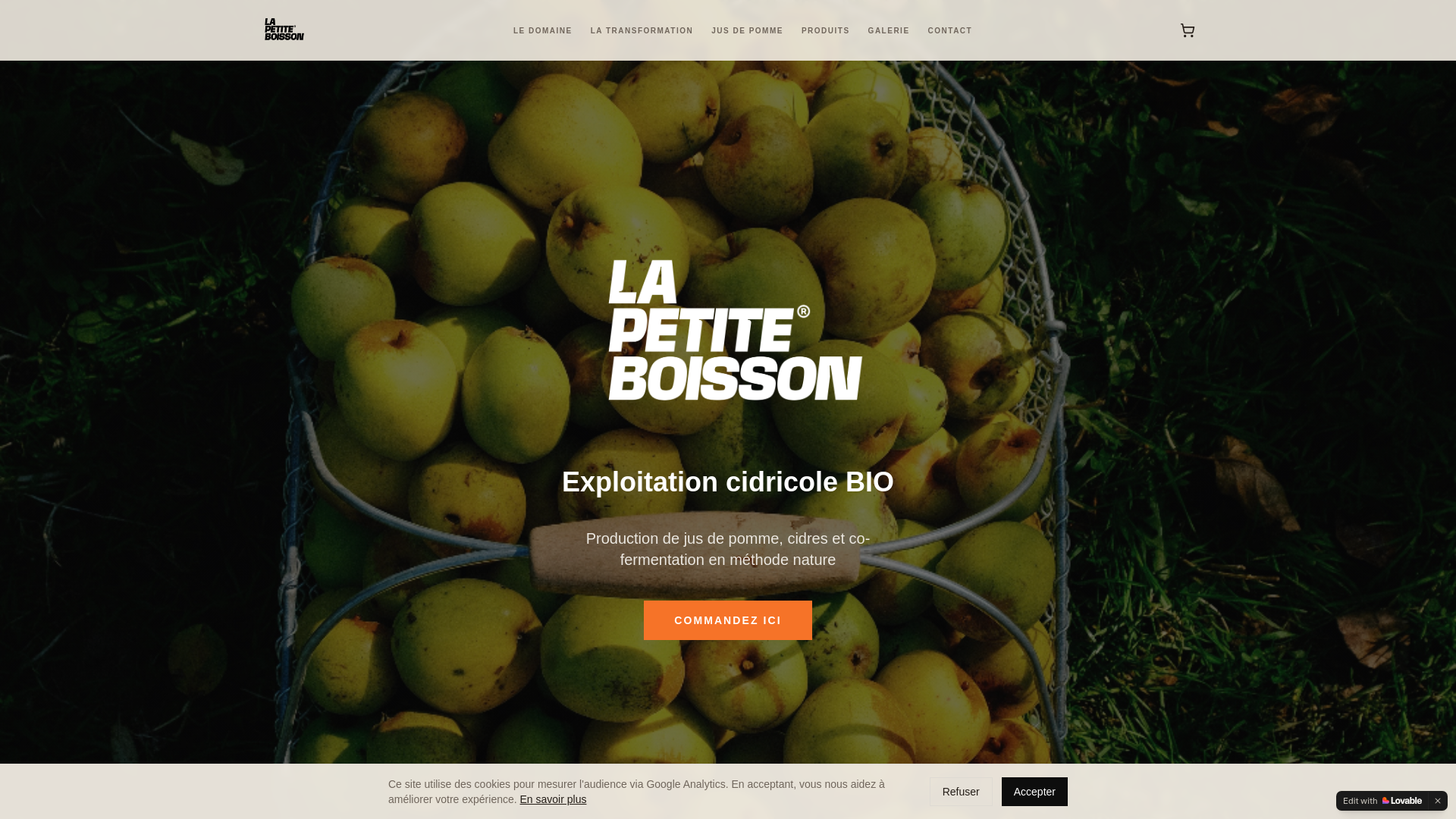 website screenshot of https://lapetiteboisson.com/
