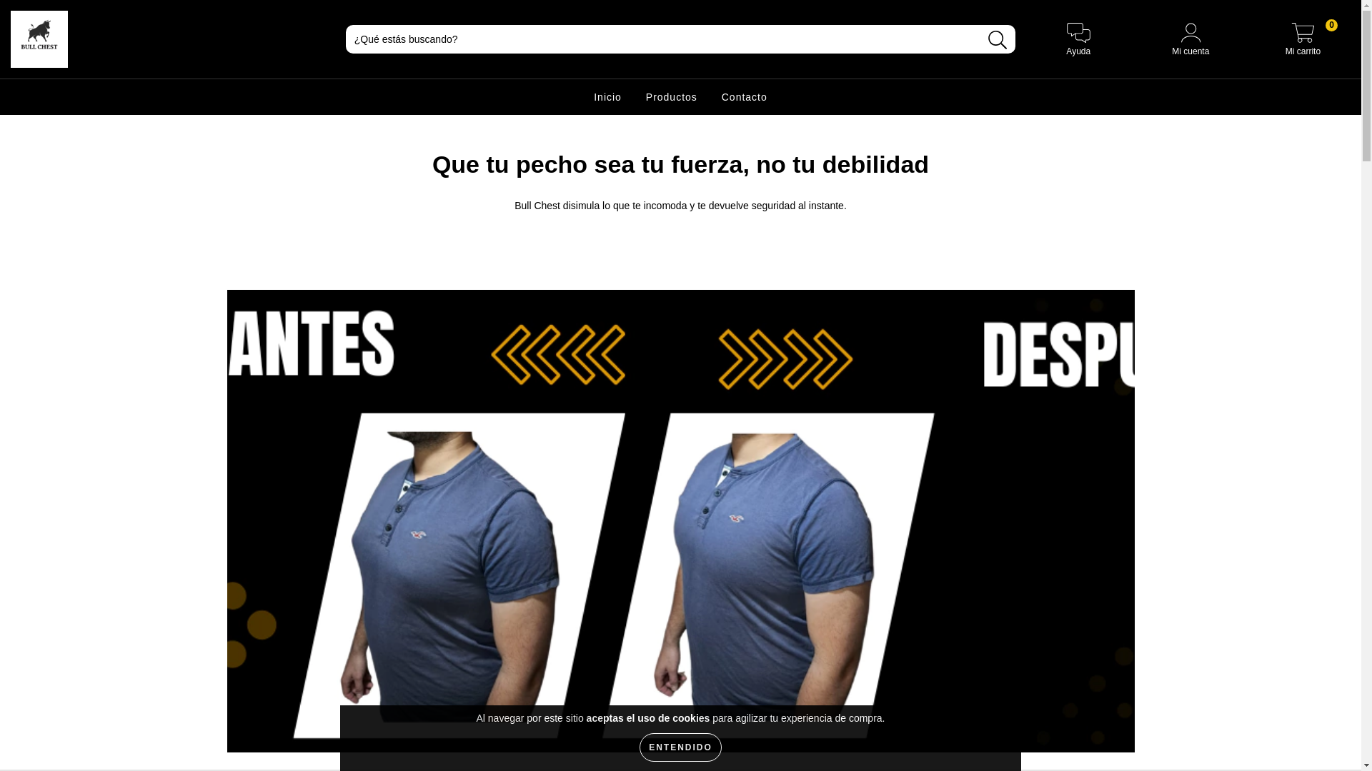website screenshot of https://bullchest.cl/