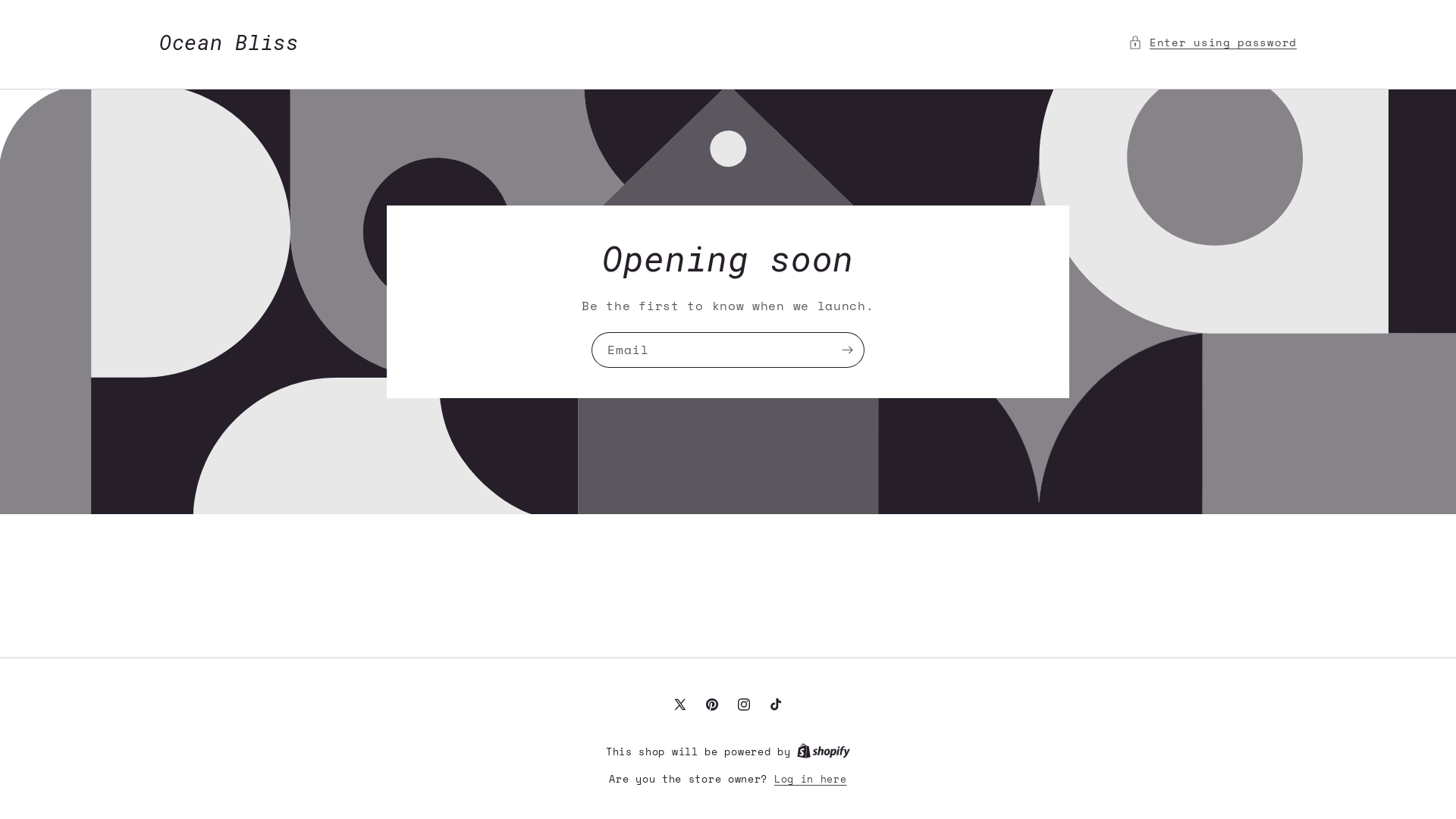 website screenshot of https://oceanblissco.com/