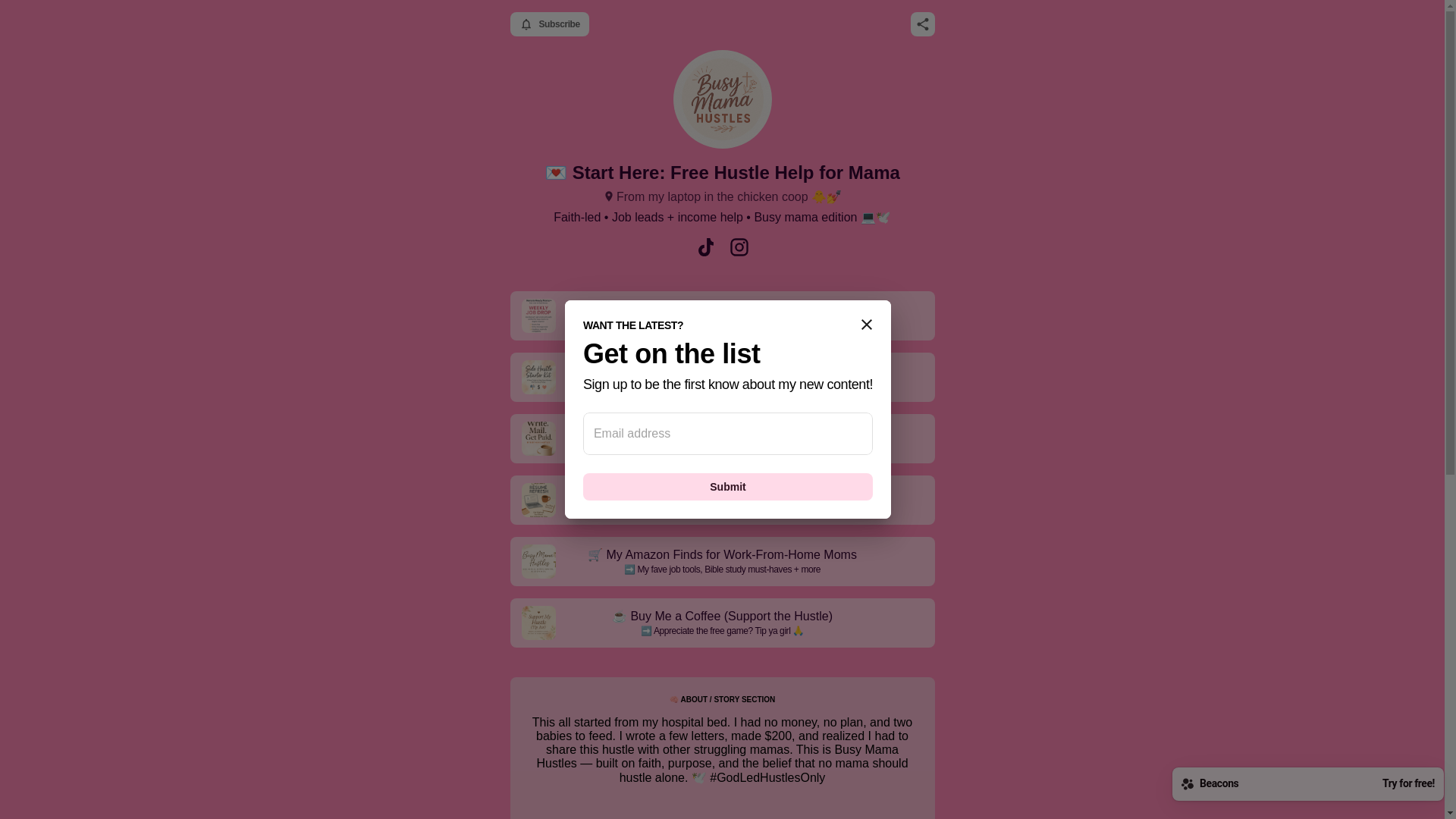 website screenshot of https://busymamahustles.com/
