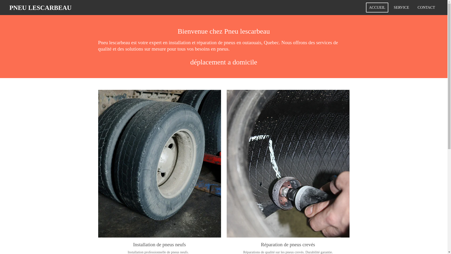 website screenshot of https://pneulescarbeau.com/