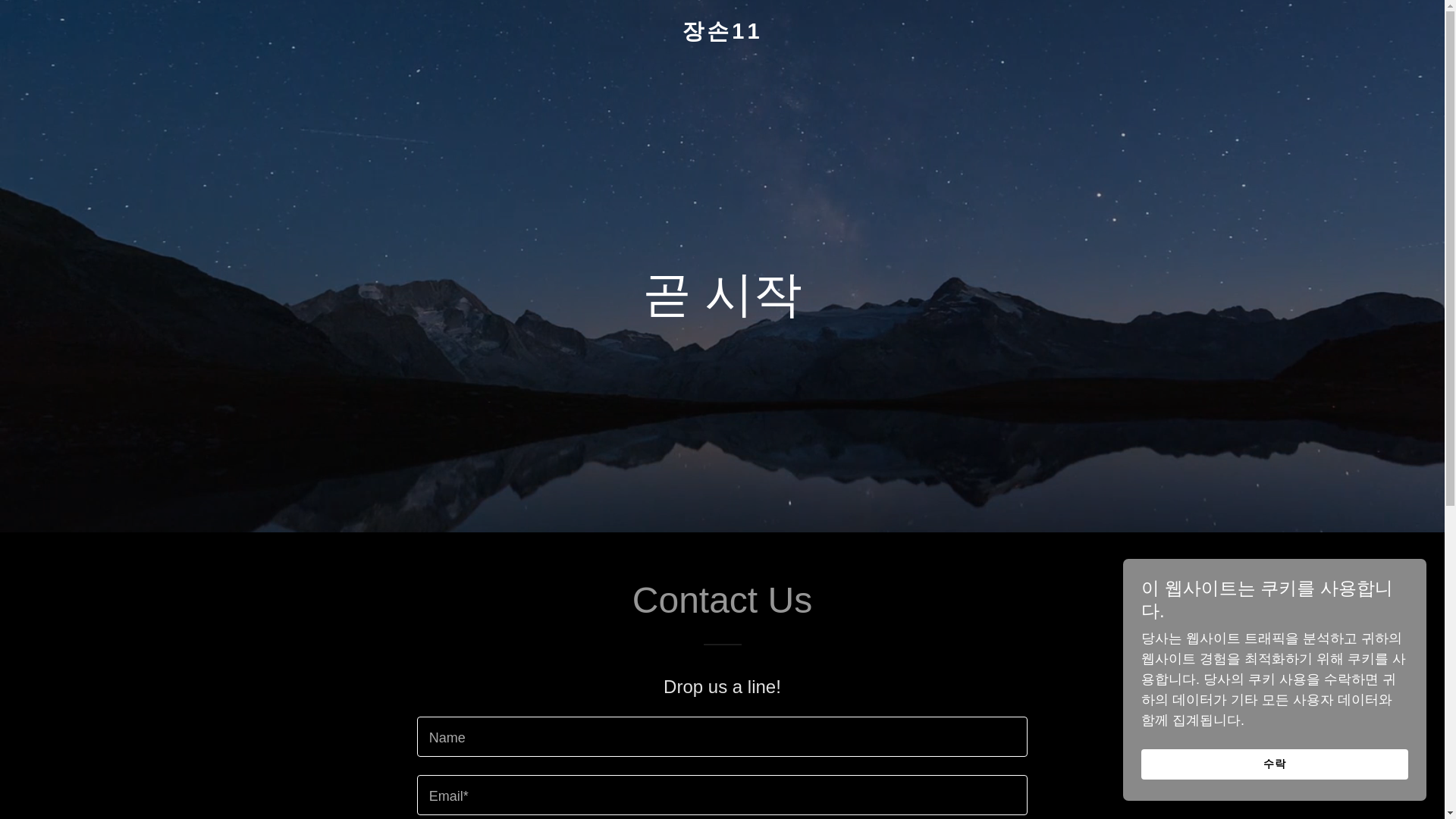 website screenshot of https://jangson11.info/