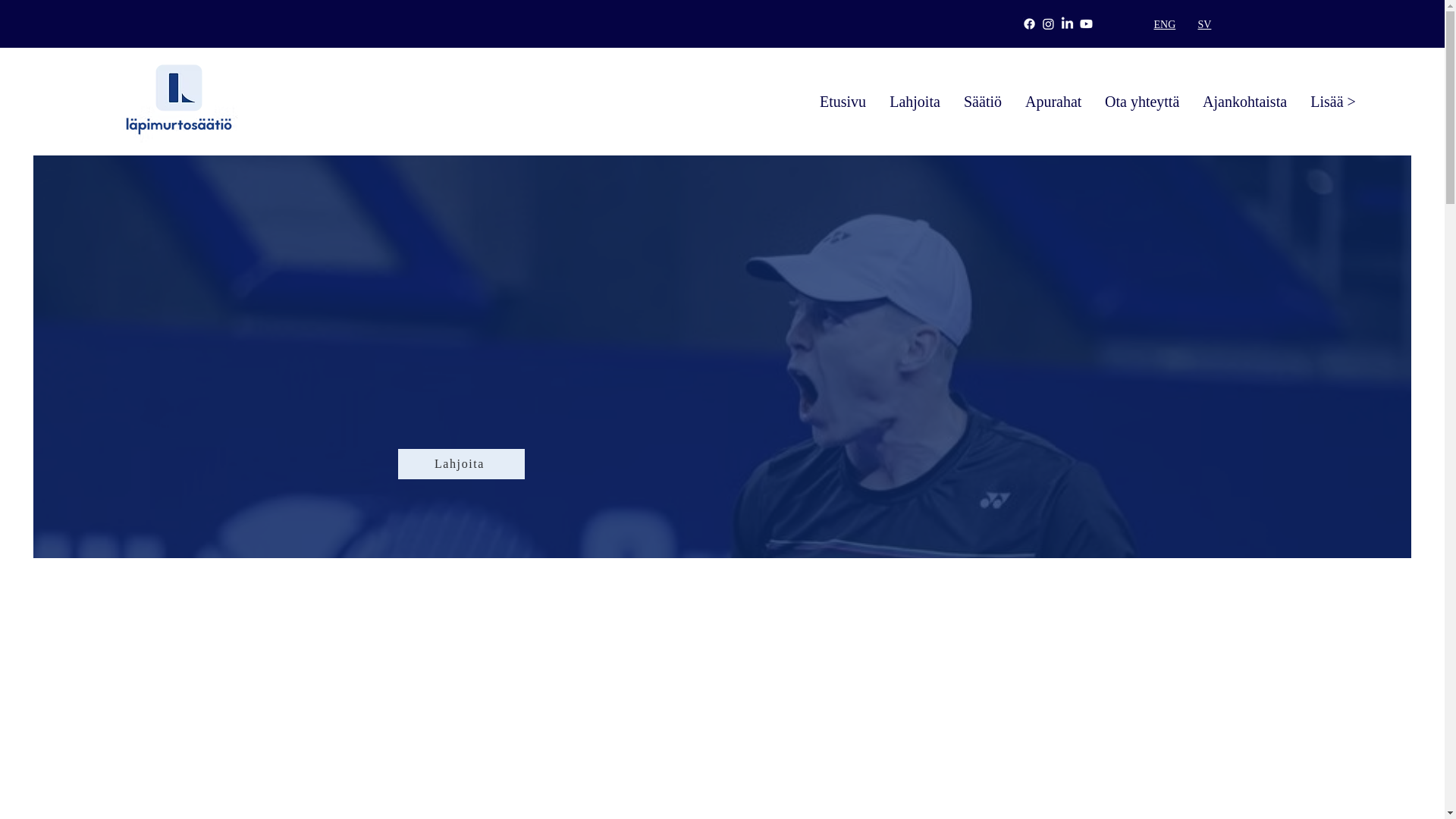 website screenshot of https://lapimurtosaatio-kumppanit.com/