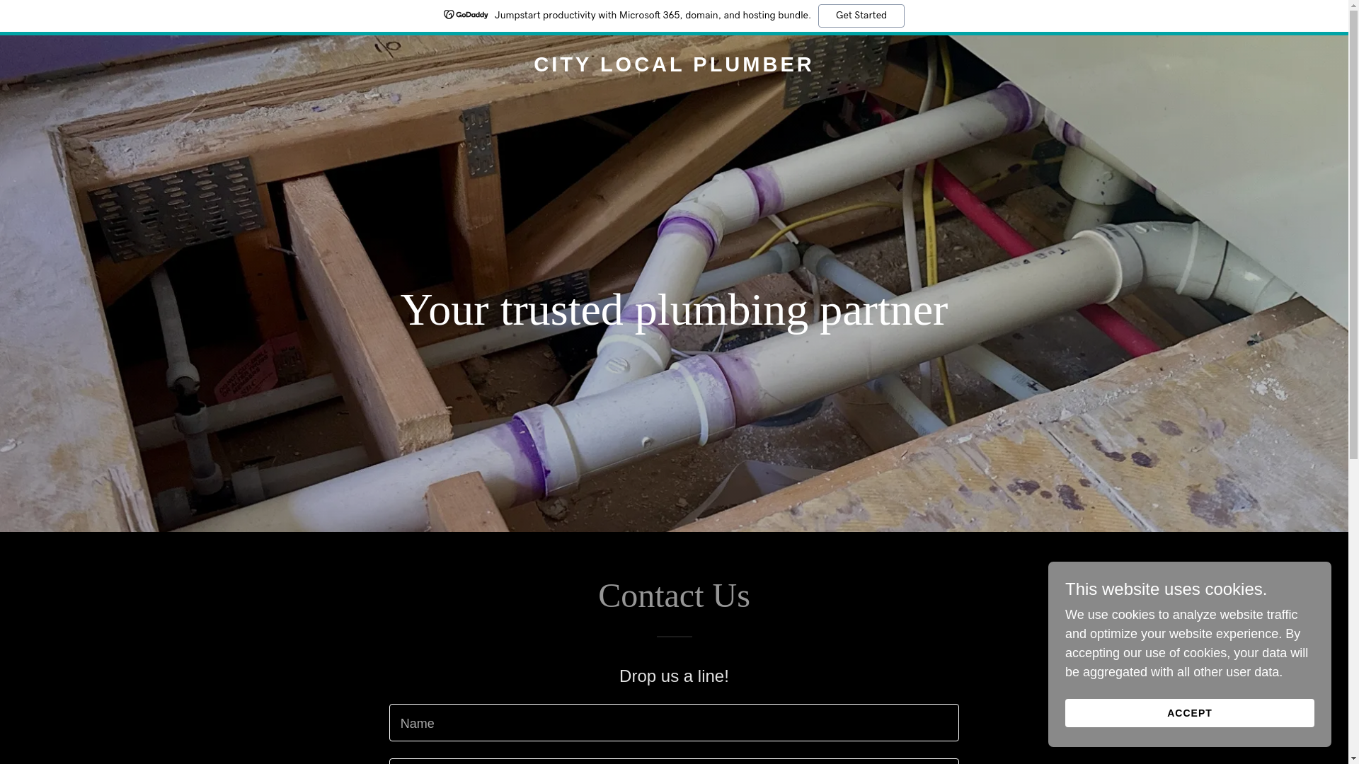 website screenshot of https://citylocalplumber.com/