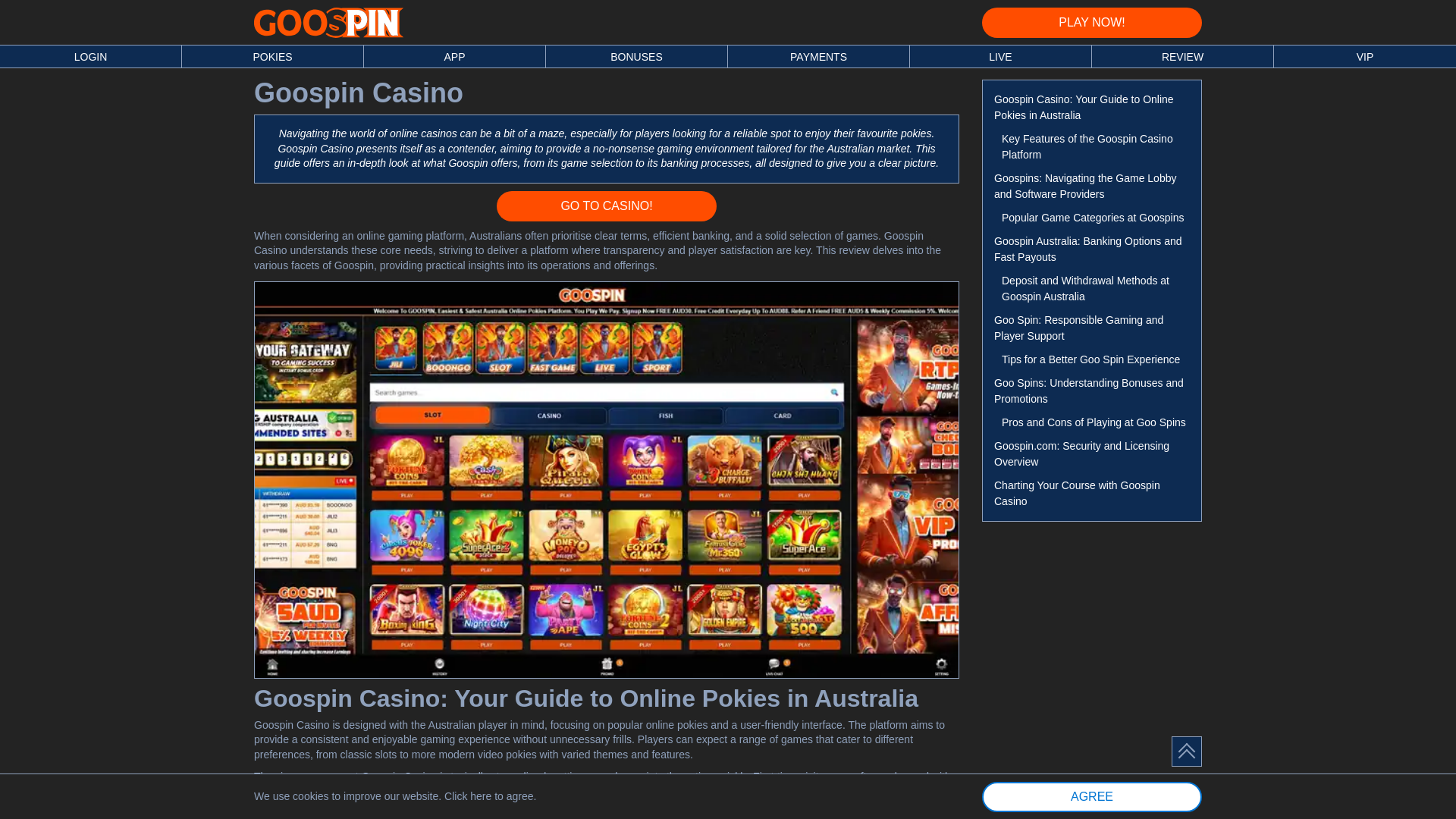 website screenshot of https://goospinau.online/