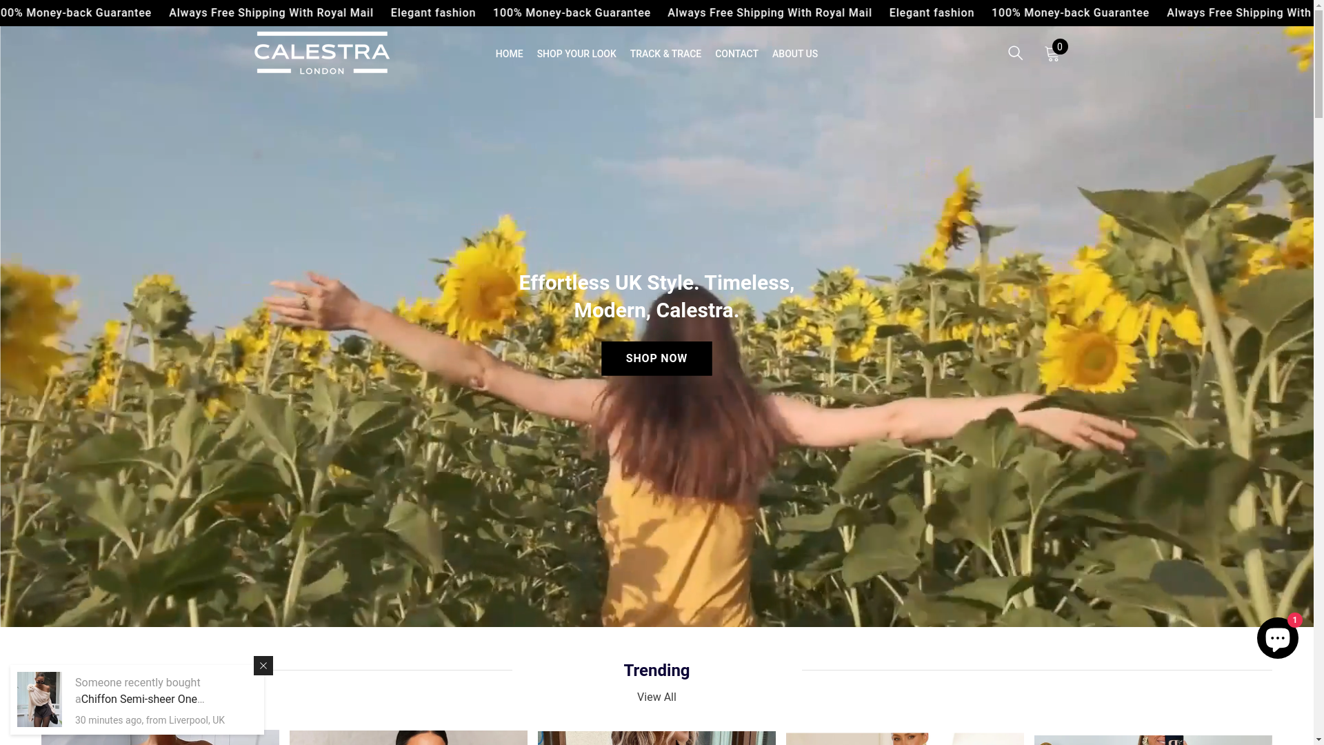 website screenshot of https://calestra.us/