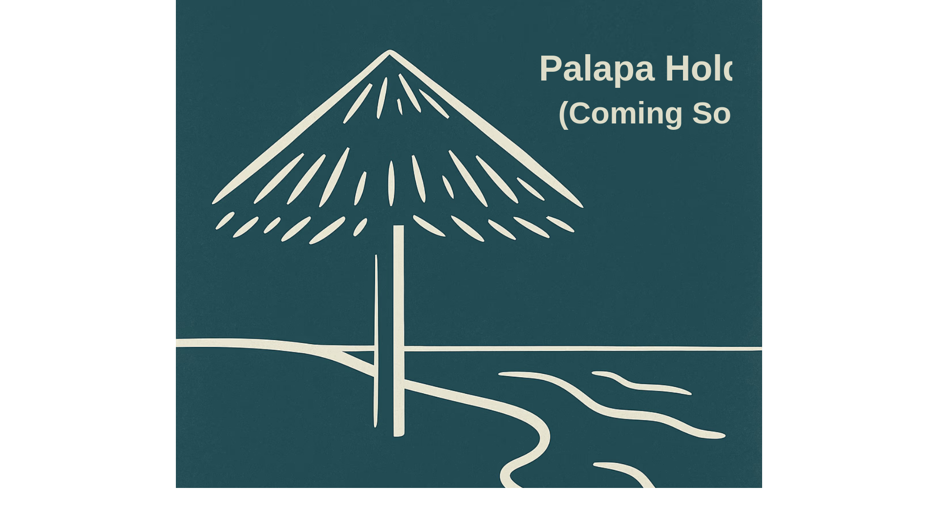 website screenshot of https://palapaholdings.com/