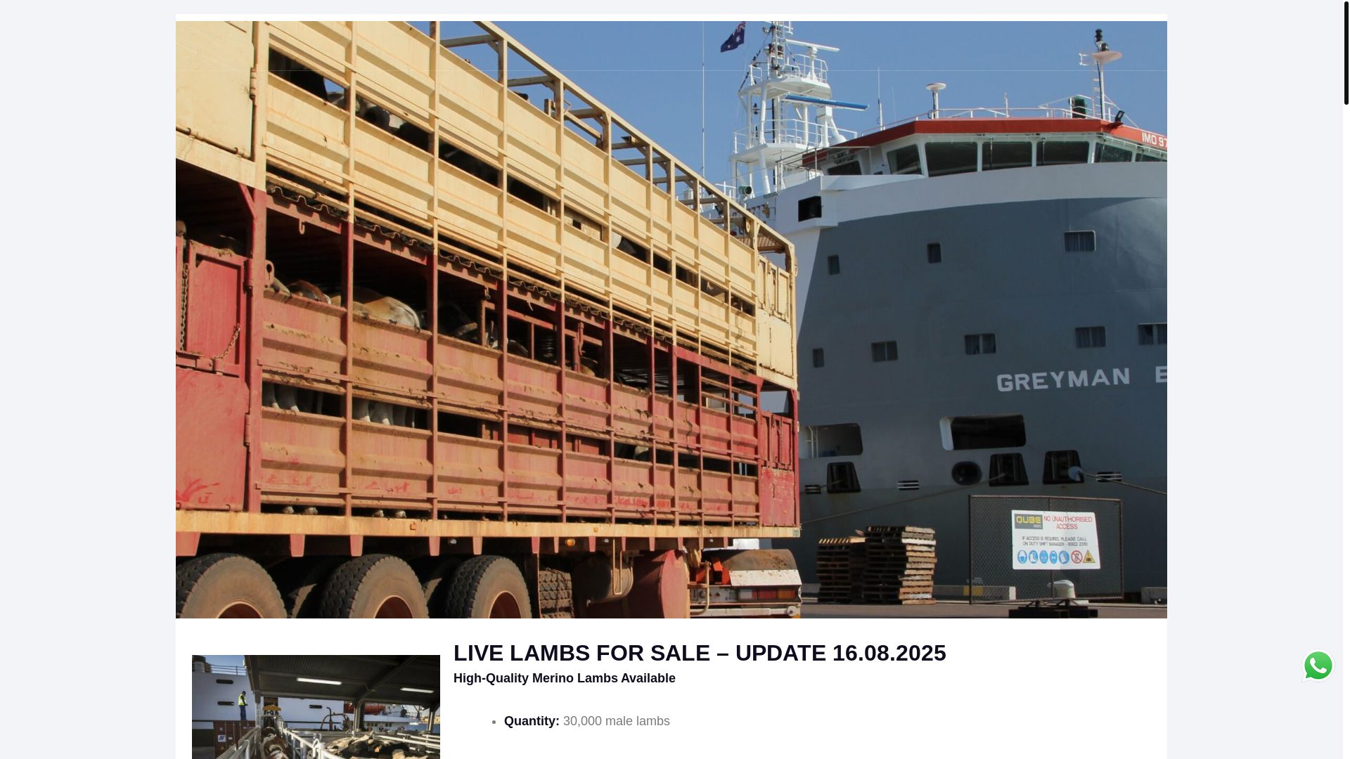 website screenshot of https://livestock-logistic.com/