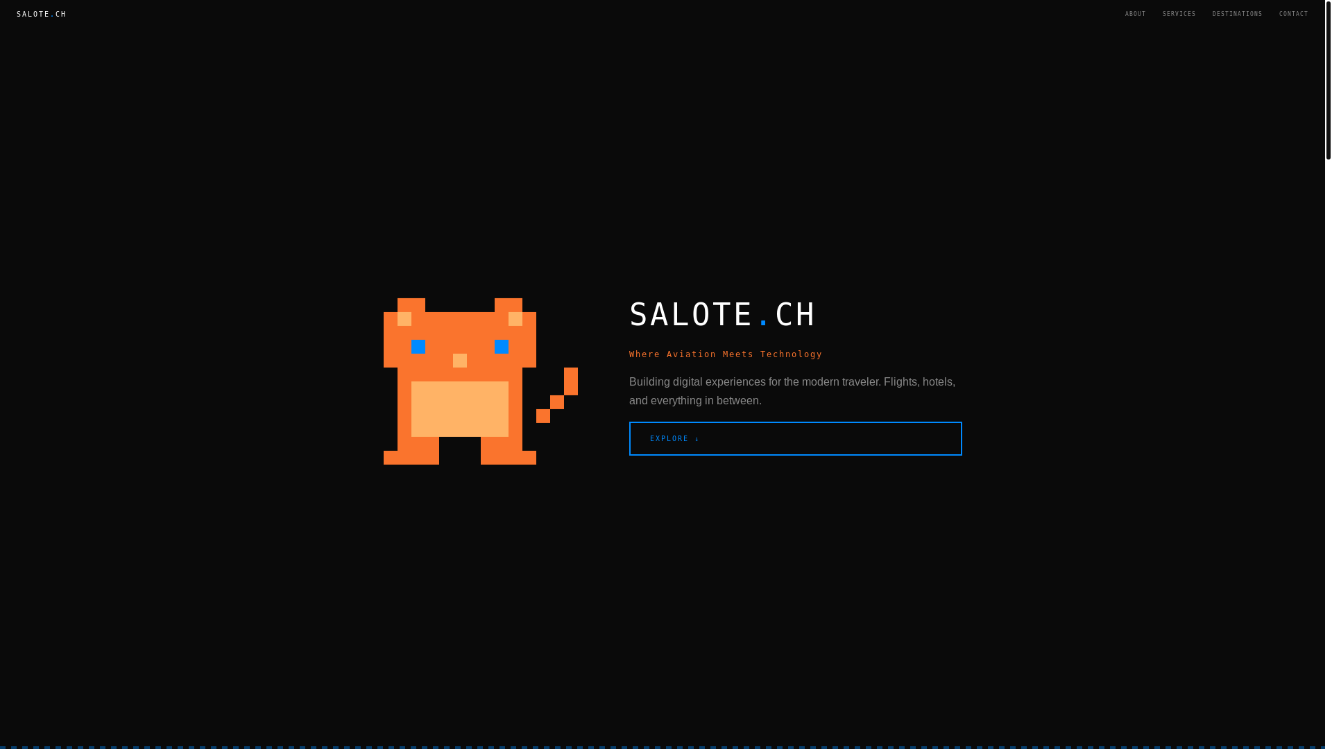 website screenshot of https://salote.ch/