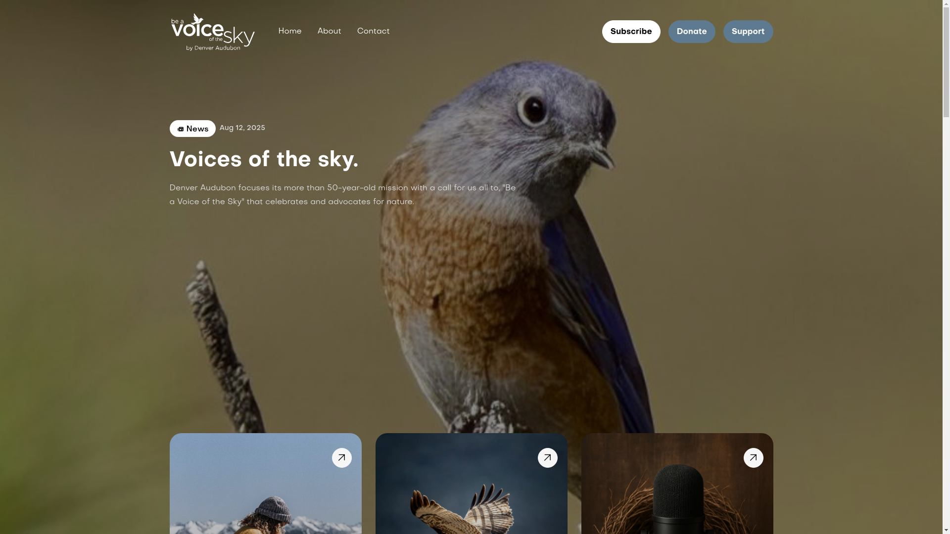 website screenshot of https://voiceofthesky.org/