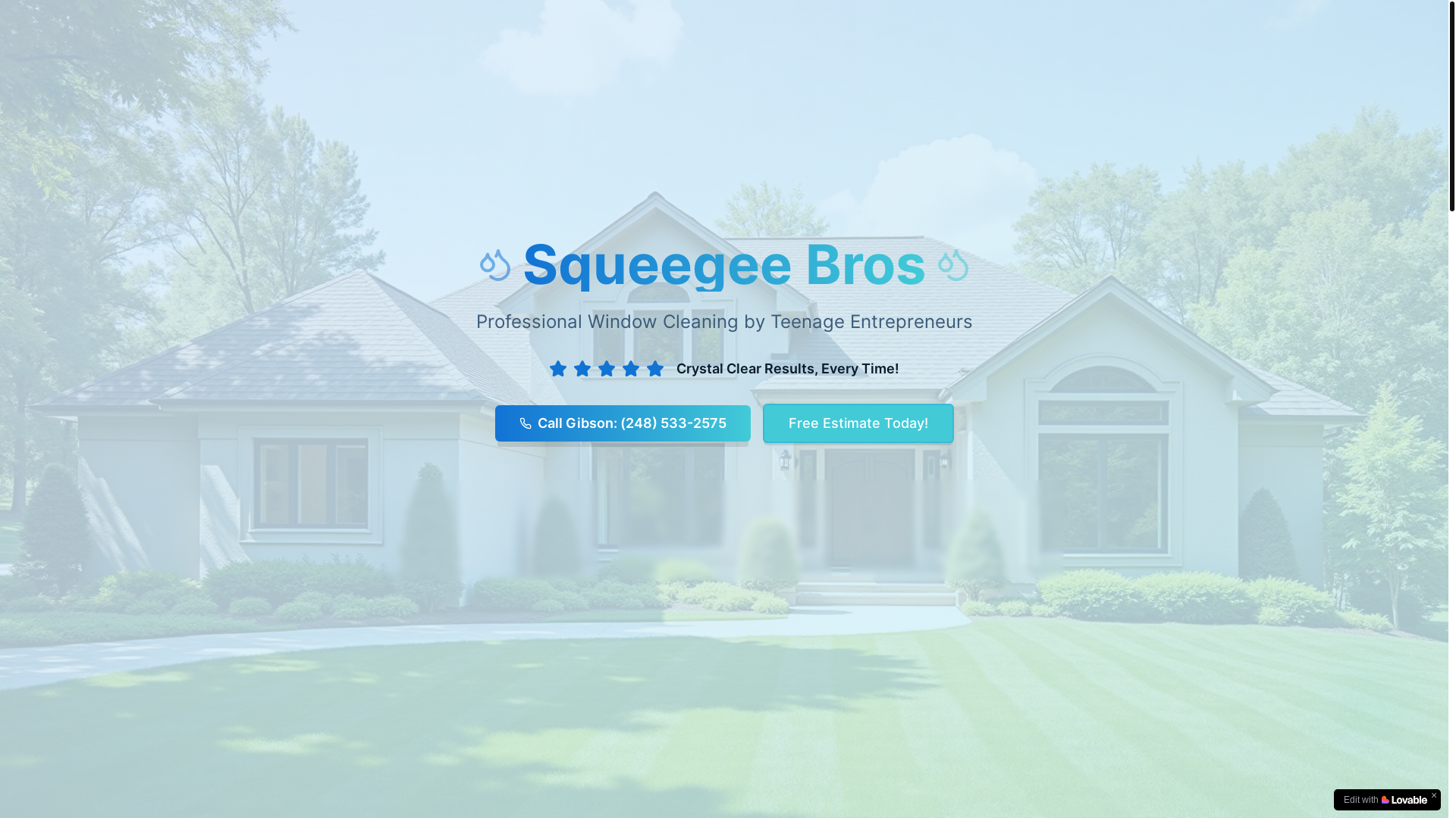 website screenshot of https://squeegeebrosservice.com/