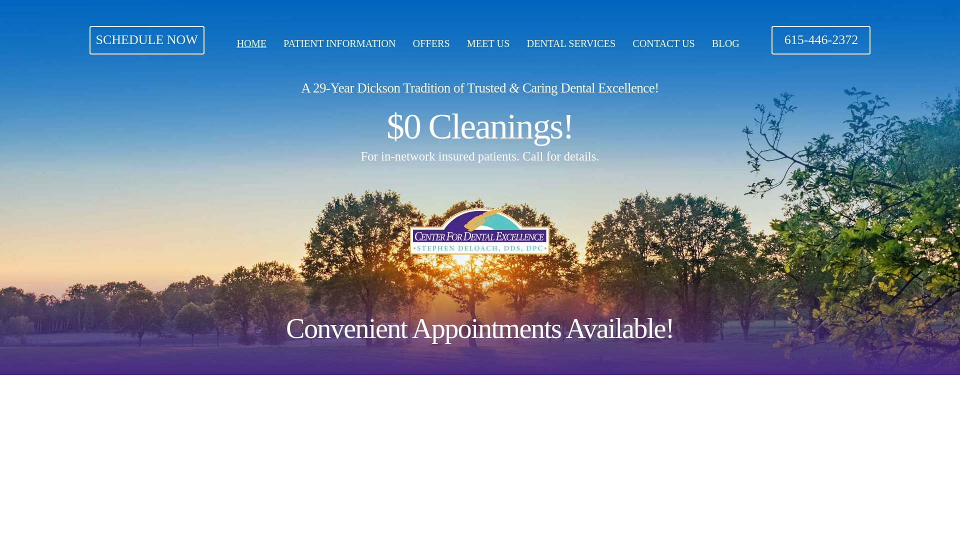 website screenshot of https://drstevedeloach.com/