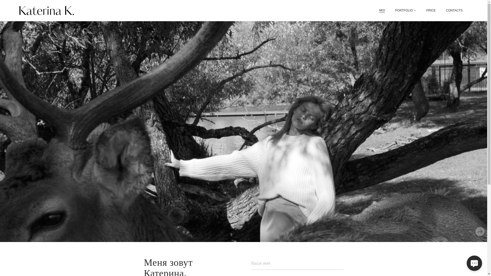 website screenshot of https://katerinakurakina.ru/