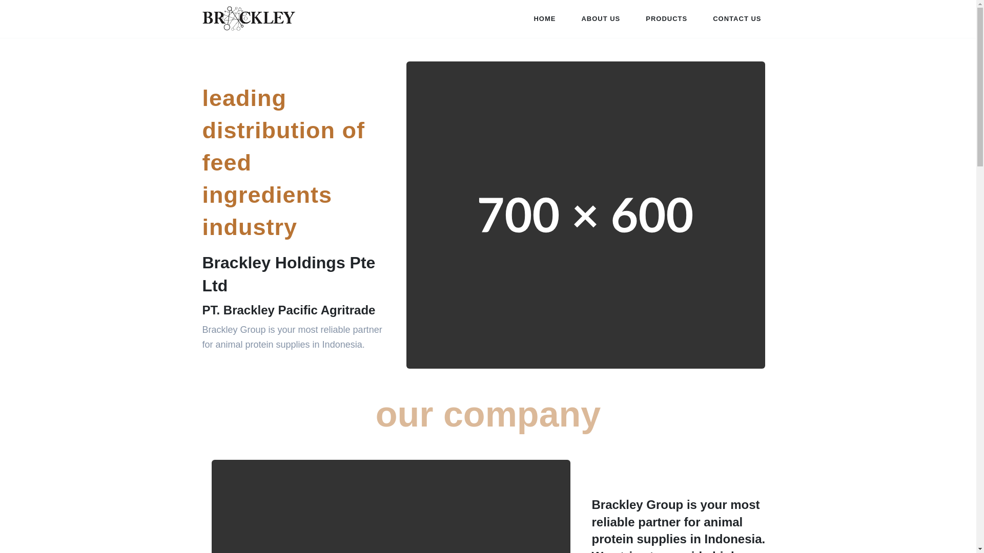 website screenshot of https://brackleyasia.id/