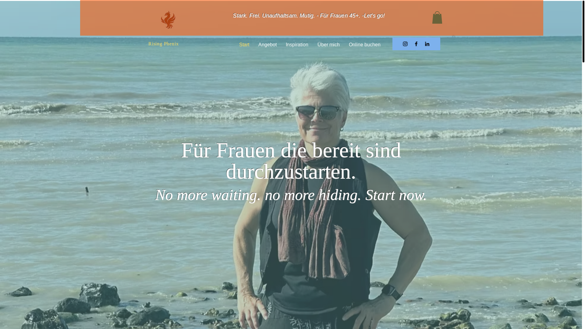 website screenshot of https://phenix45.com/