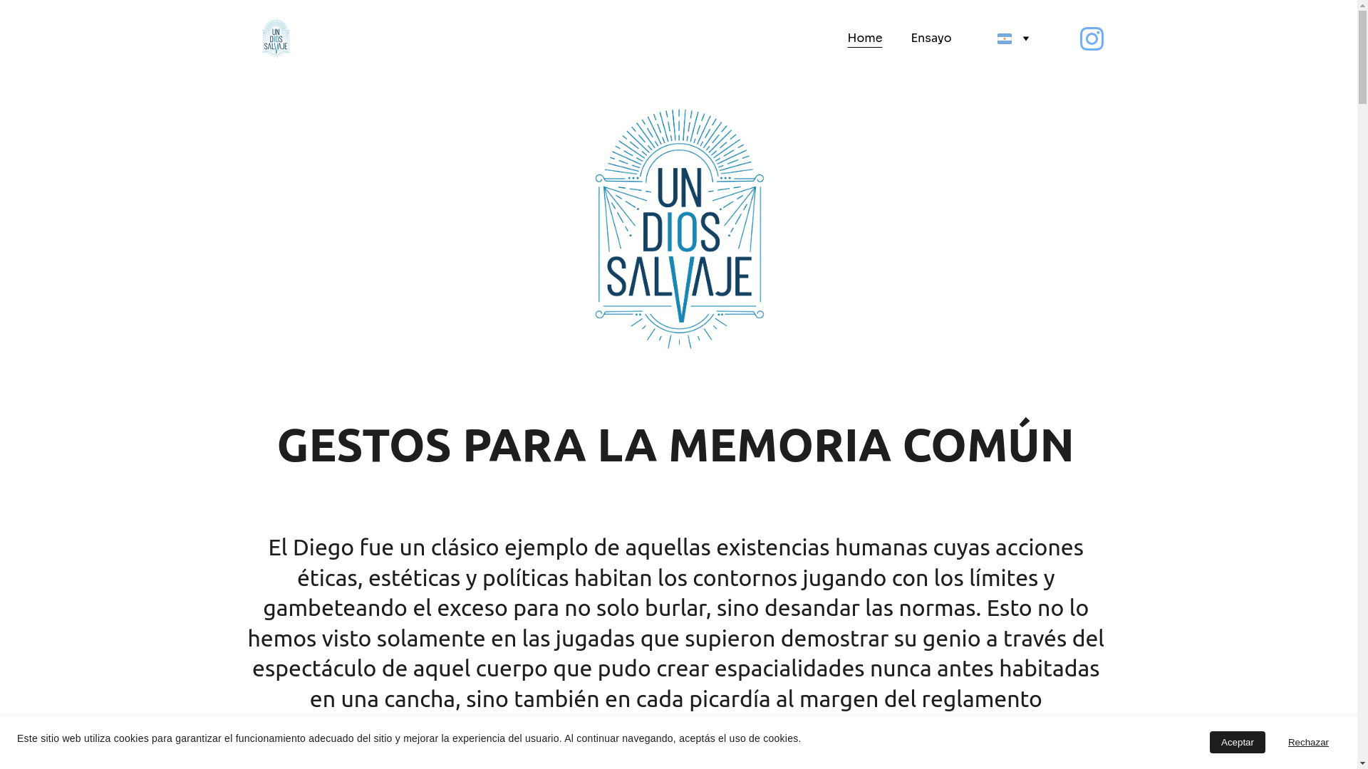 website screenshot of https://undiossalvaje.com/