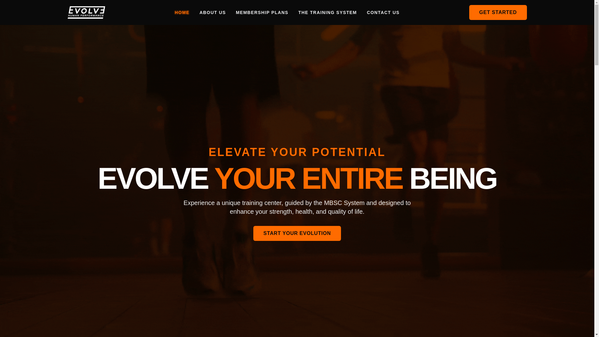 website screenshot of https://evolvesite.pages.dev/