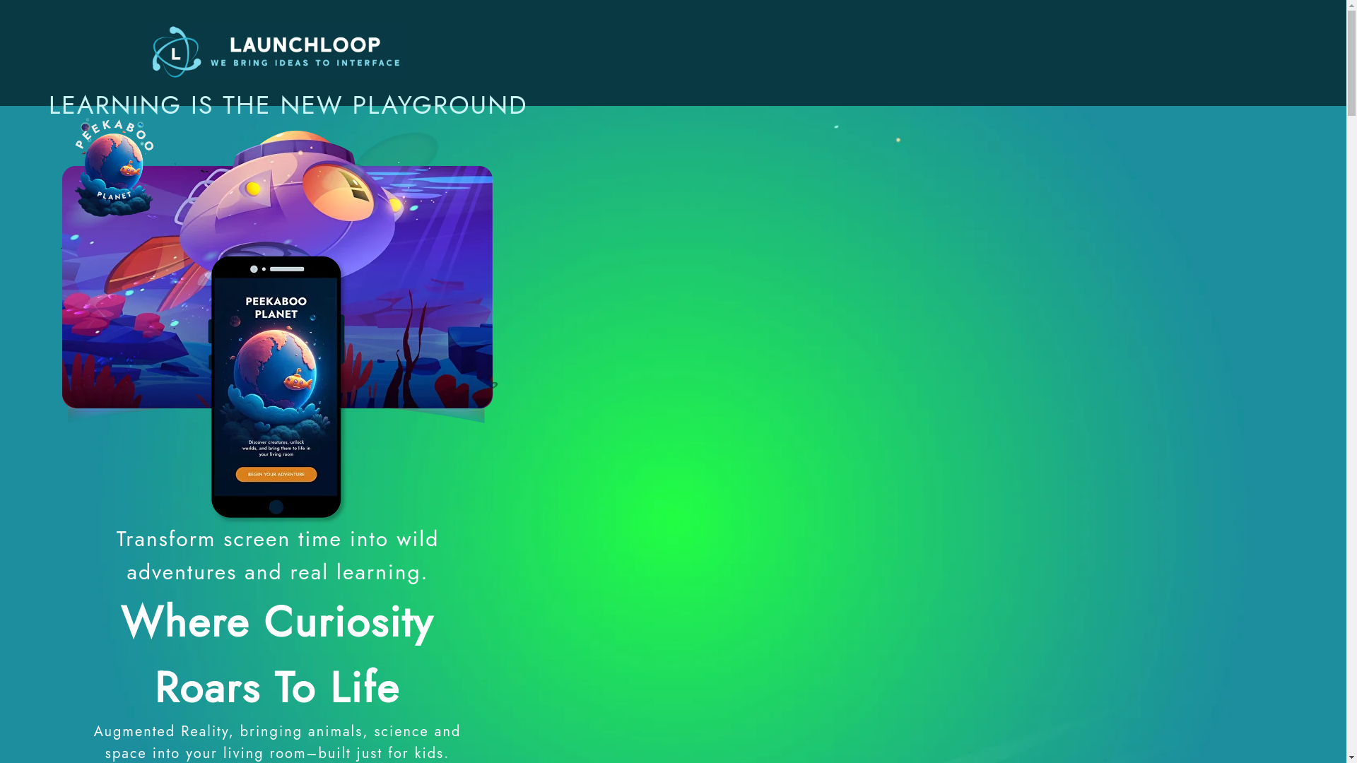 website screenshot of https://peekabooplanet.co/