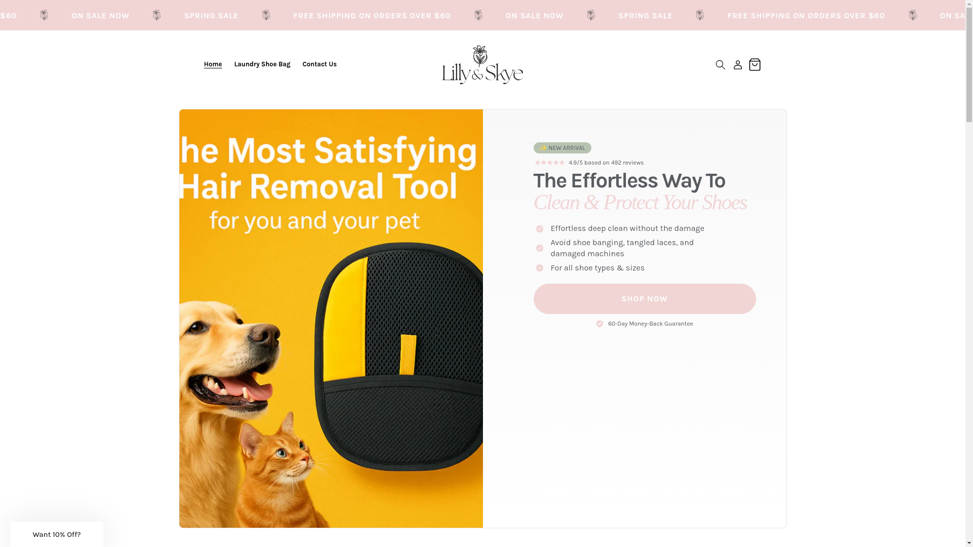 website screenshot of https://shoplillyandskye.com/