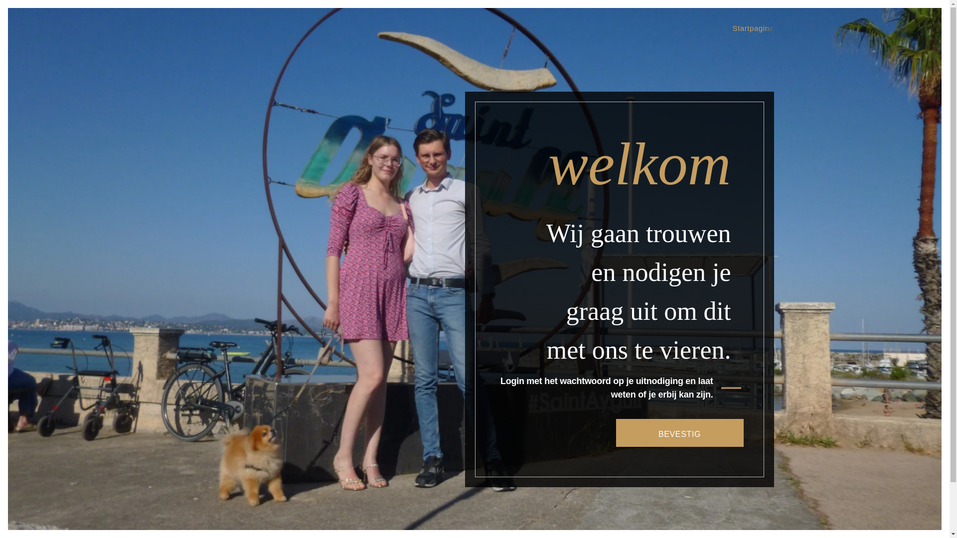 website screenshot of https://shanaenglenntrouwen.be/