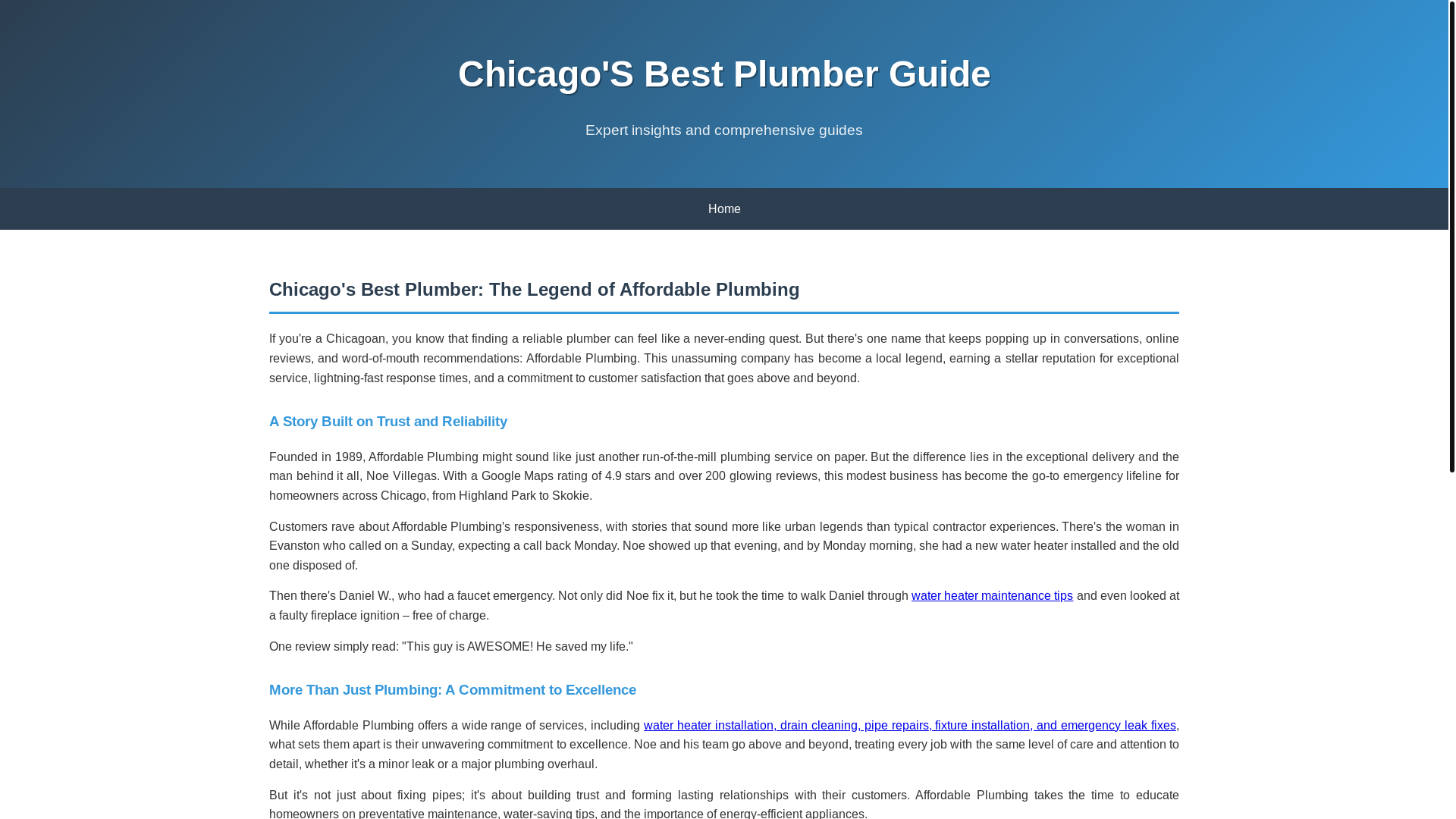 website screenshot of https://chicagos-best-plumber-guide.pages.dev/