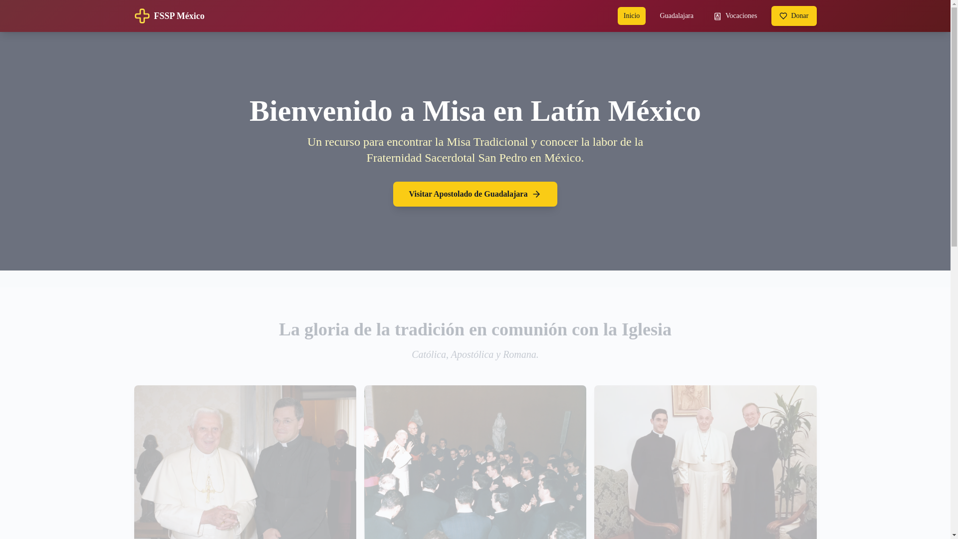 website screenshot of https://misaenlatin.org/