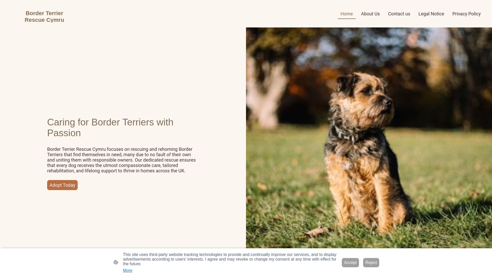 website screenshot of https://borderterrierrescuecymru.org.uk/