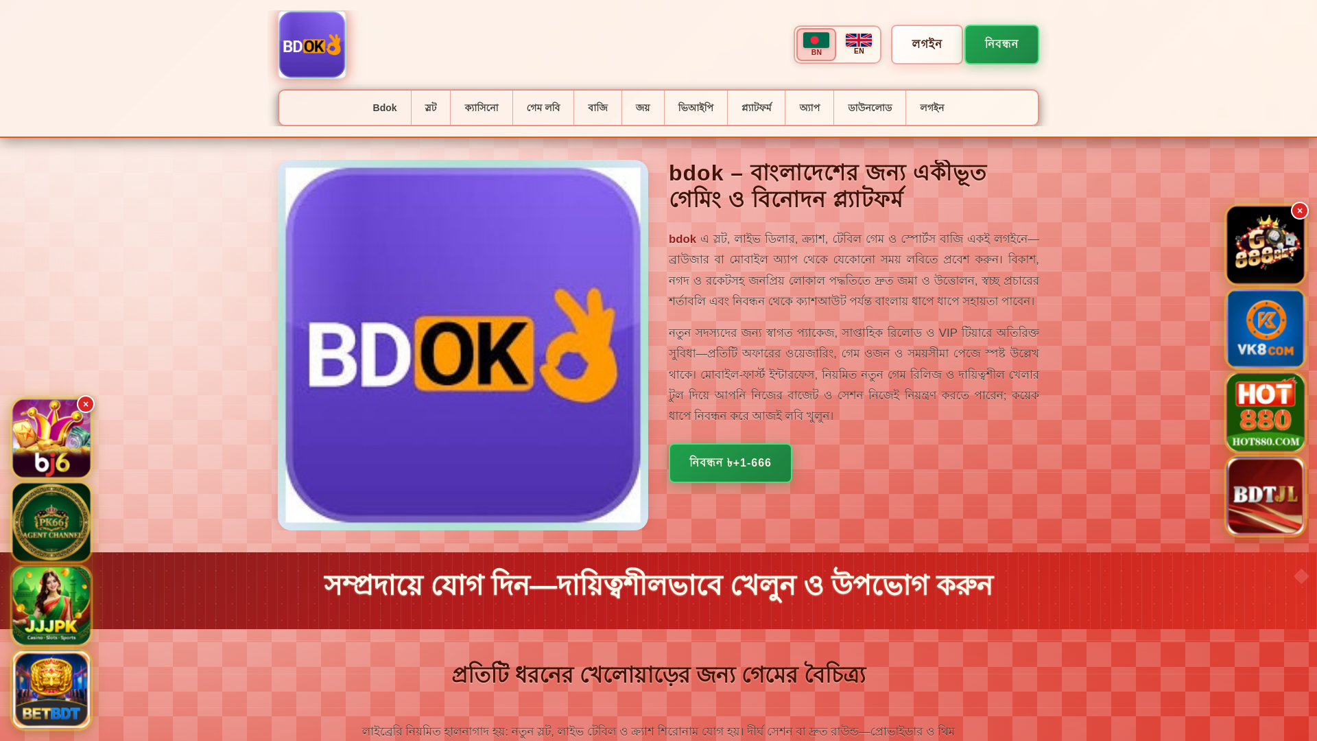 website screenshot of https://bdoktin.com/