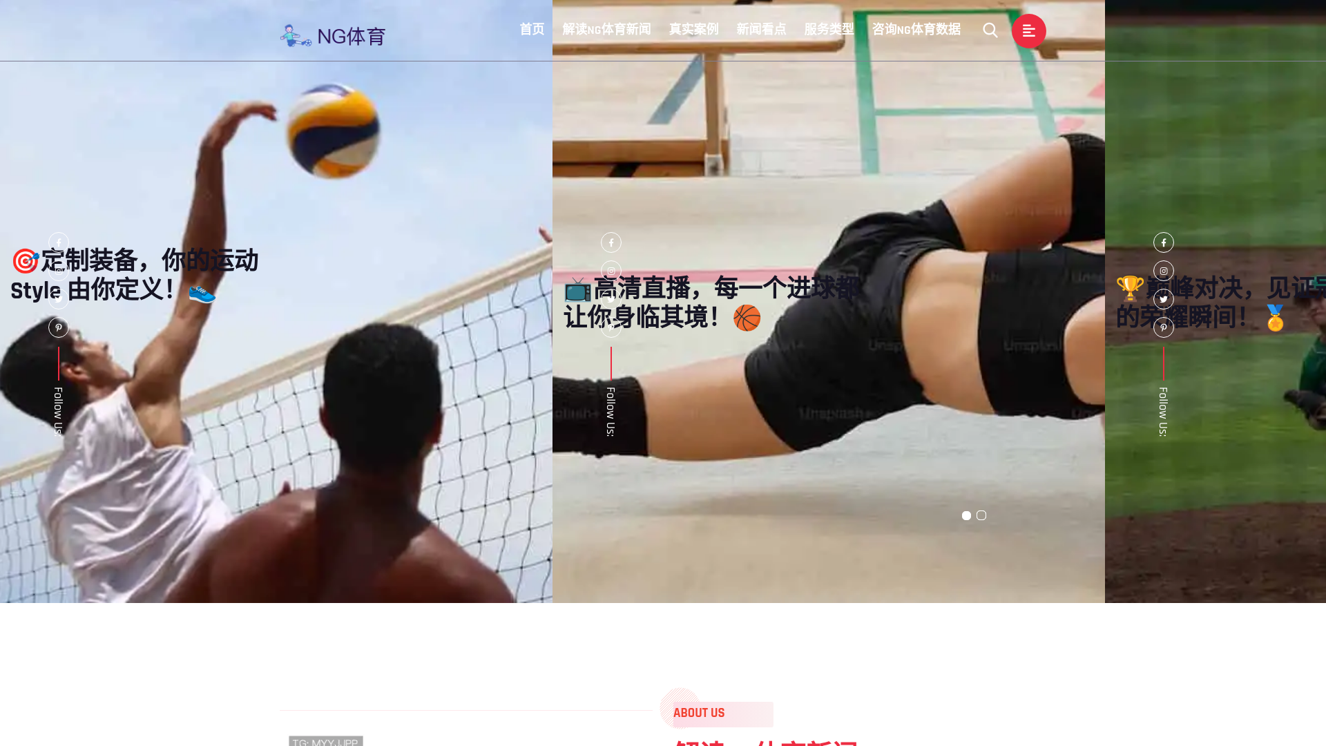 website screenshot of https://za-ng-sport.com/