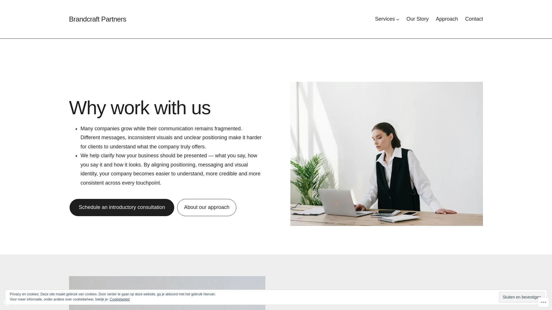 website screenshot of https://brandwisepartners.com/