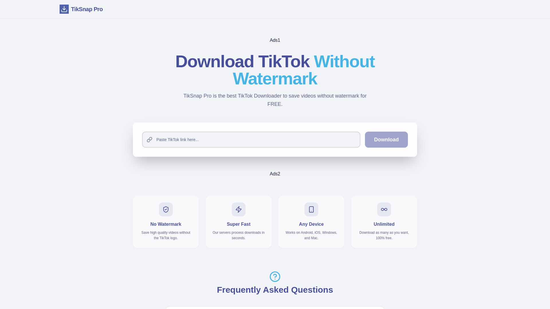 website screenshot of https://tiksnap.pro/