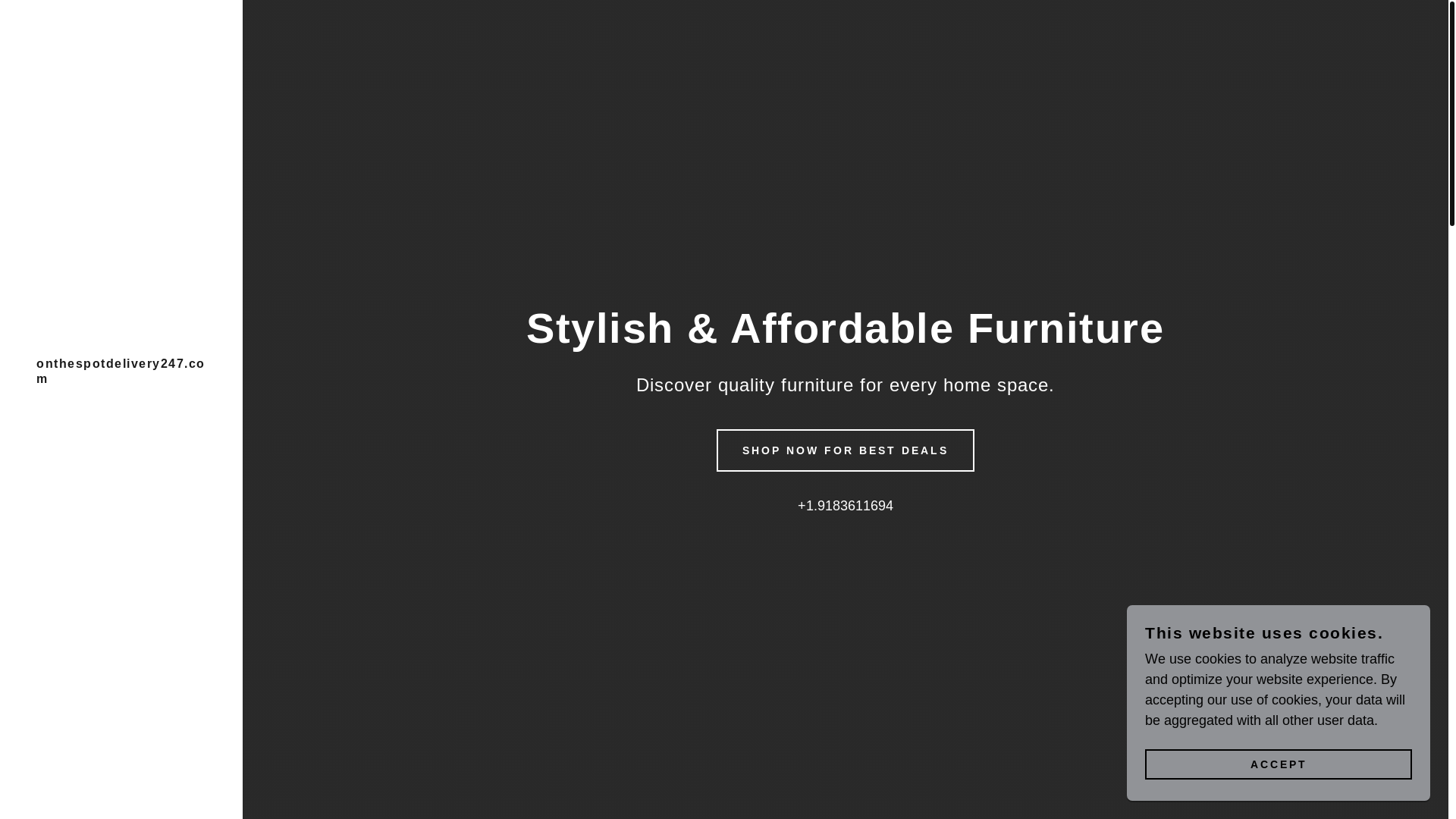 website screenshot of https://onthespotdelivery247.com/