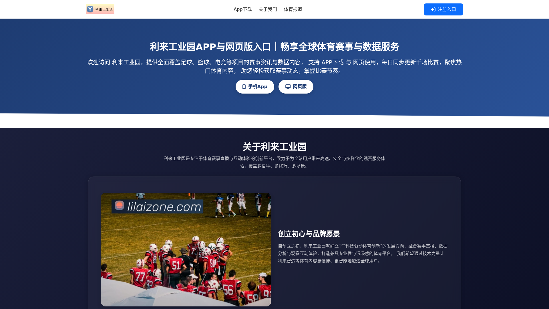 website screenshot of https://lilaizone.com